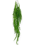 Hanging Fern 34" (2pcs)
