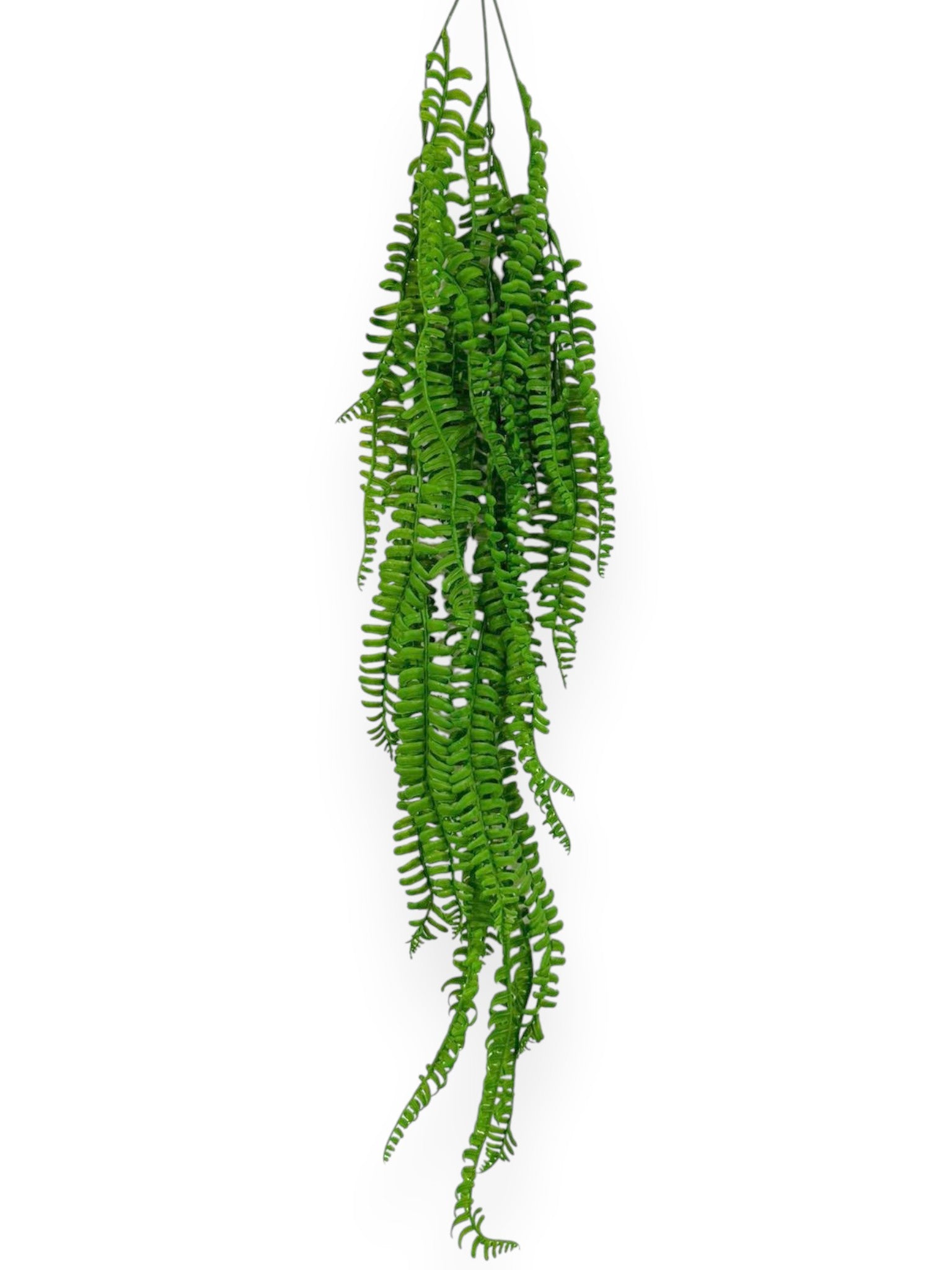 Hanging Fern 34" (2pcs)
