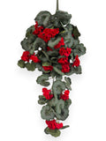 Begonia Hanging Bush 30"