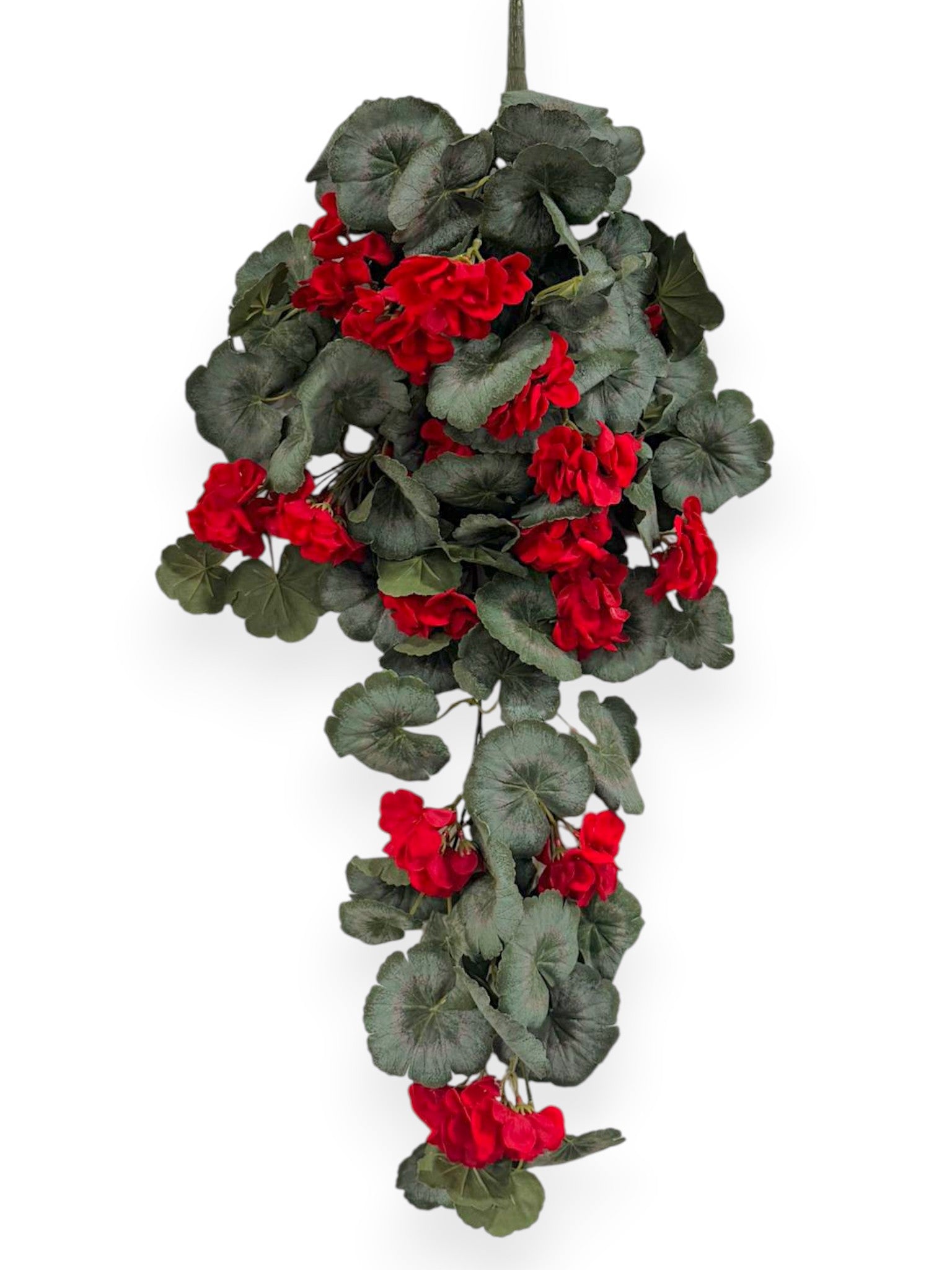 Begonia Hanging Bush 30"