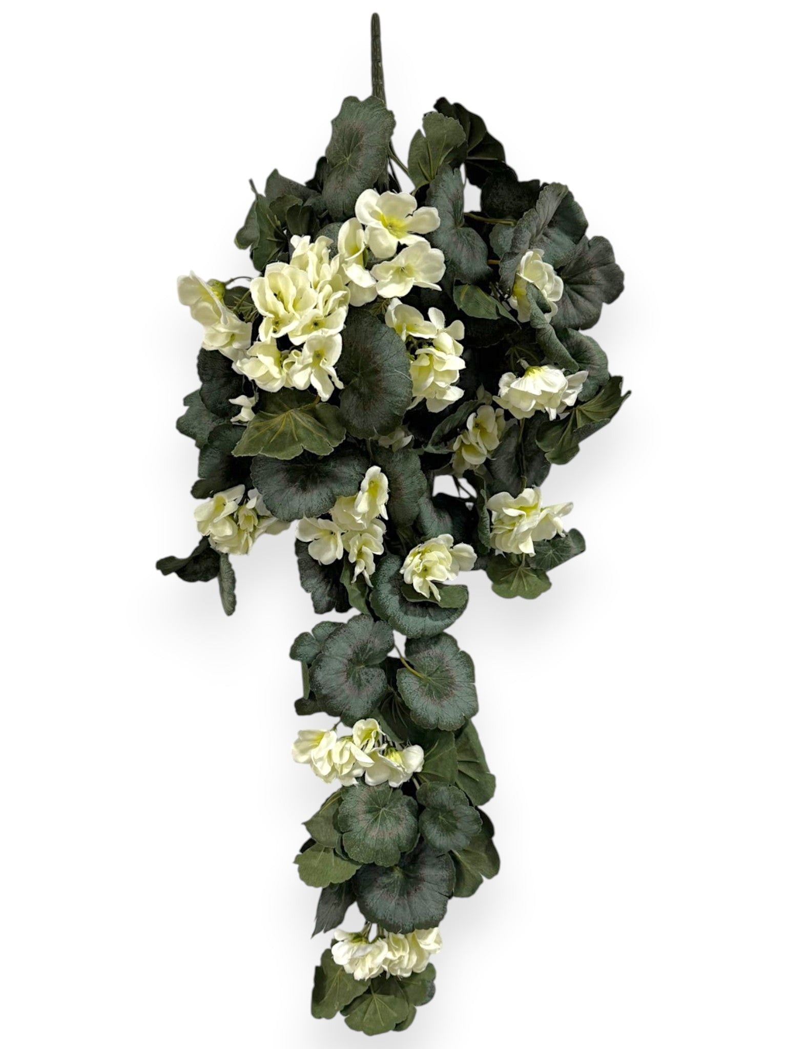 Begonia Hanging Bush 30"
