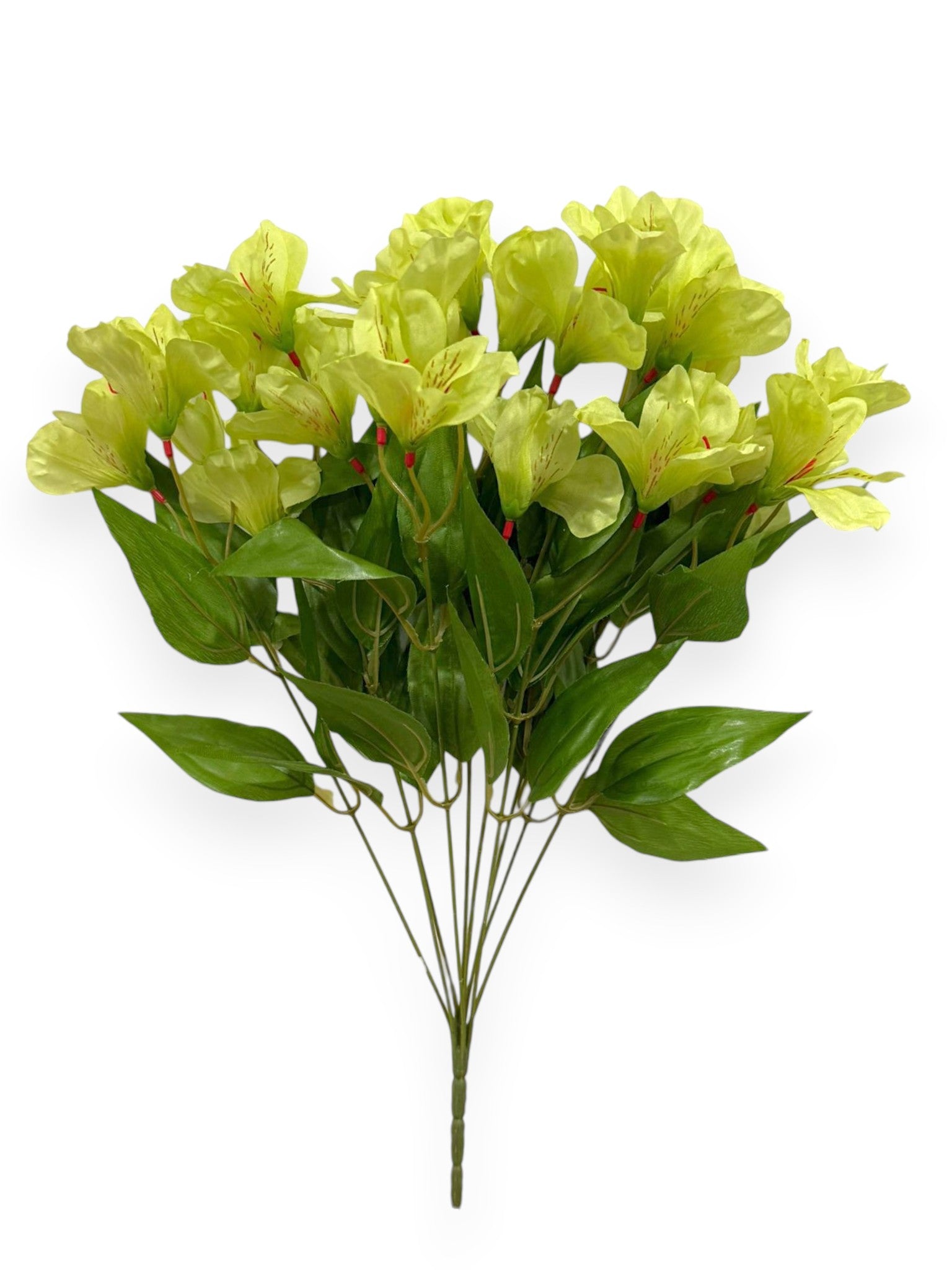 Alstroemeria Bush 19"