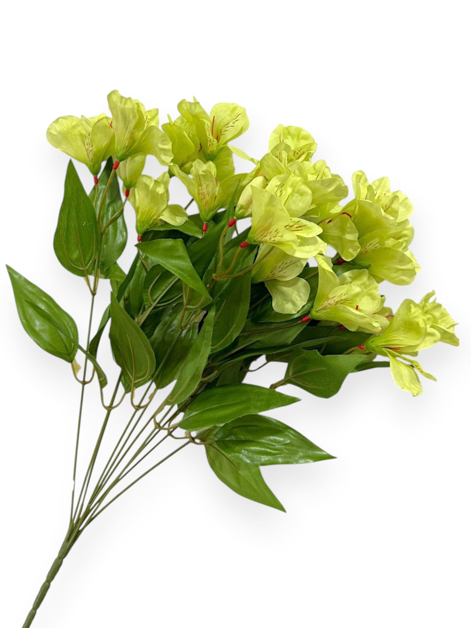 Alstroemeria Bush 19"
