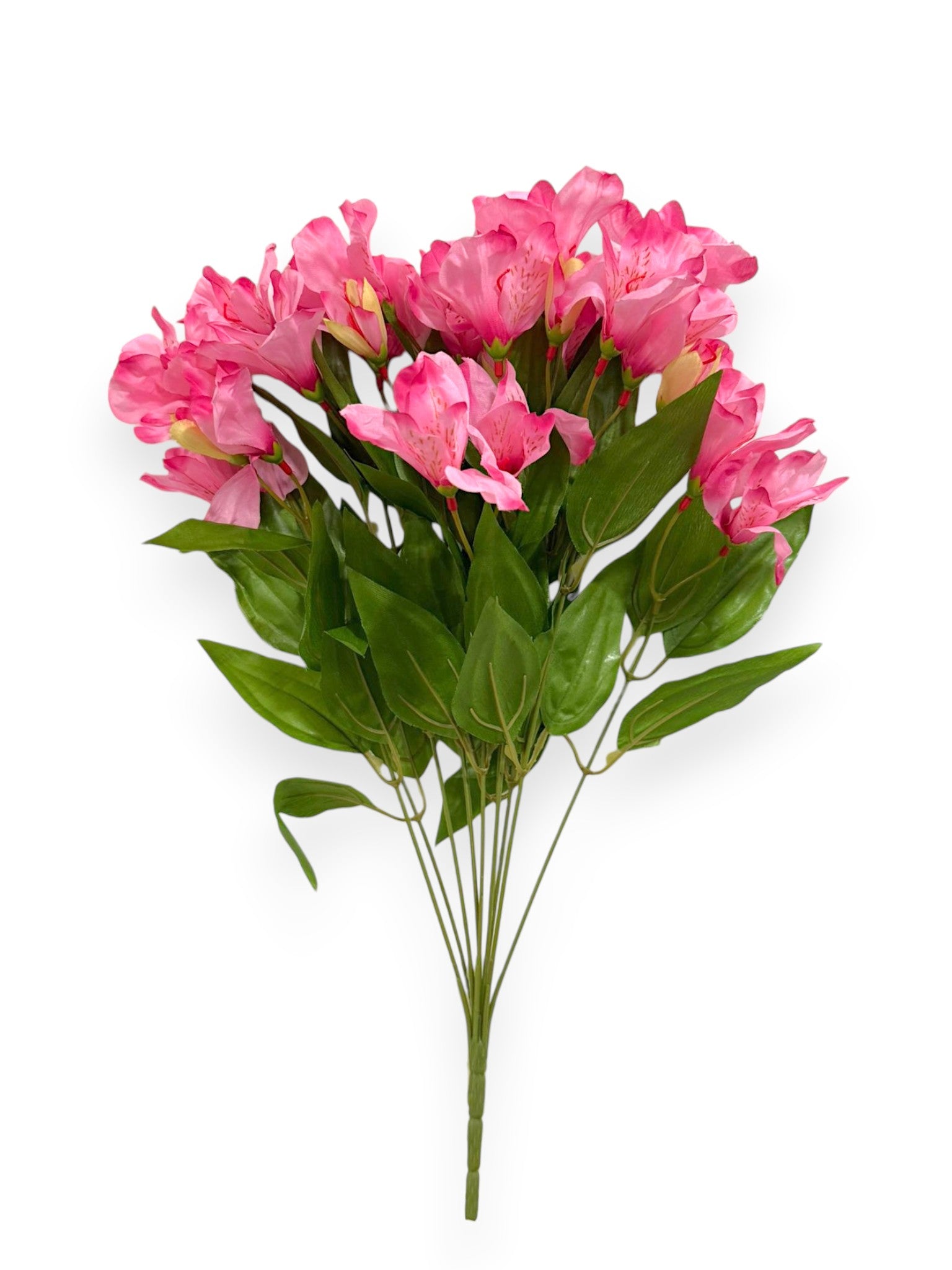 Alstroemeria Bush 19"