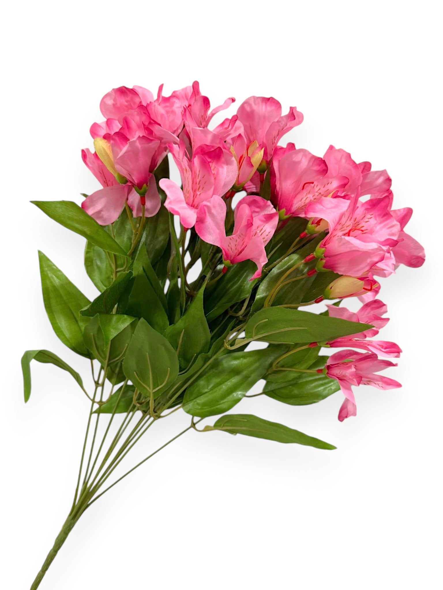 Alstroemeria Bush 19"