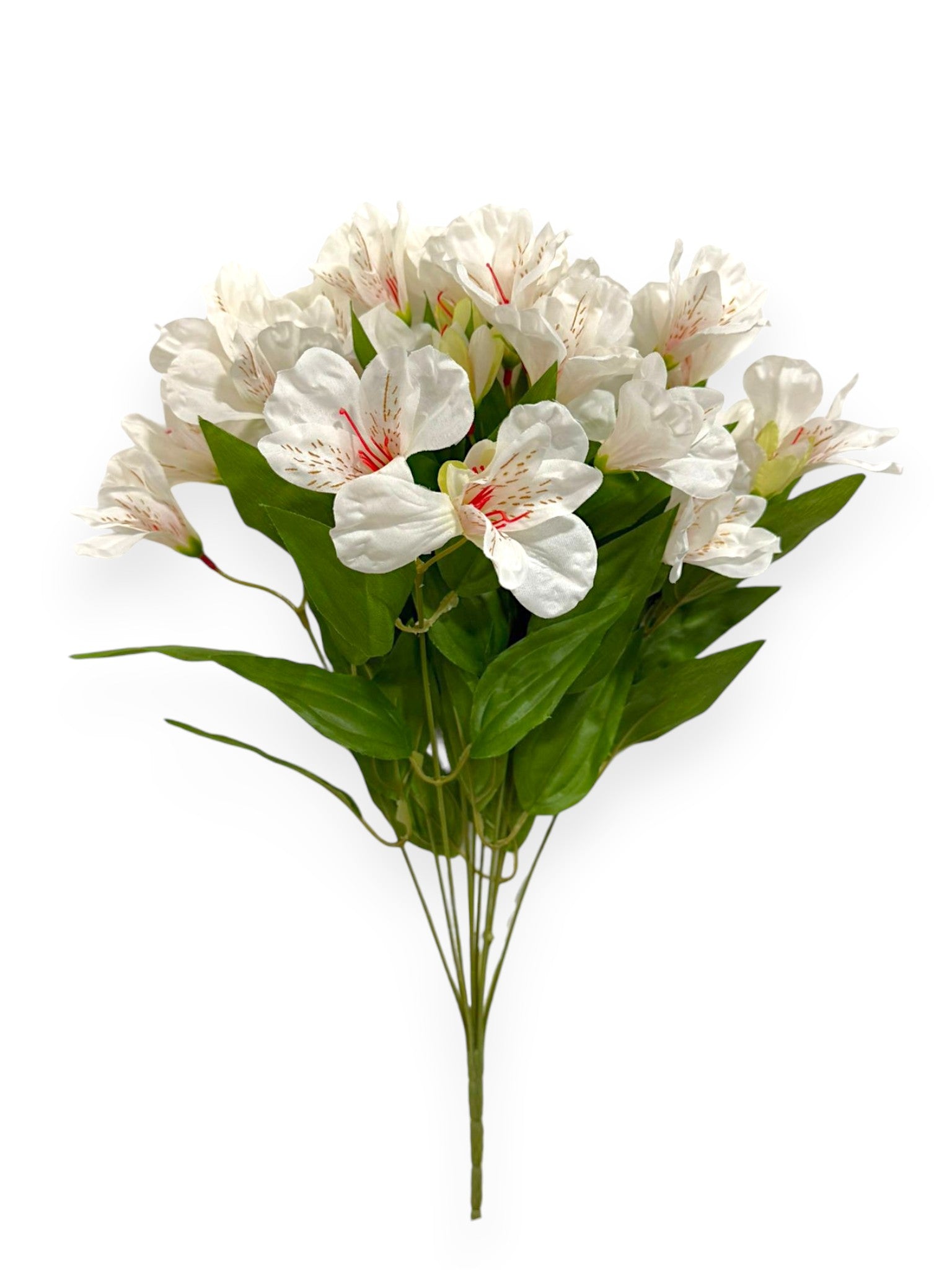 Alstroemeria Bush 19"