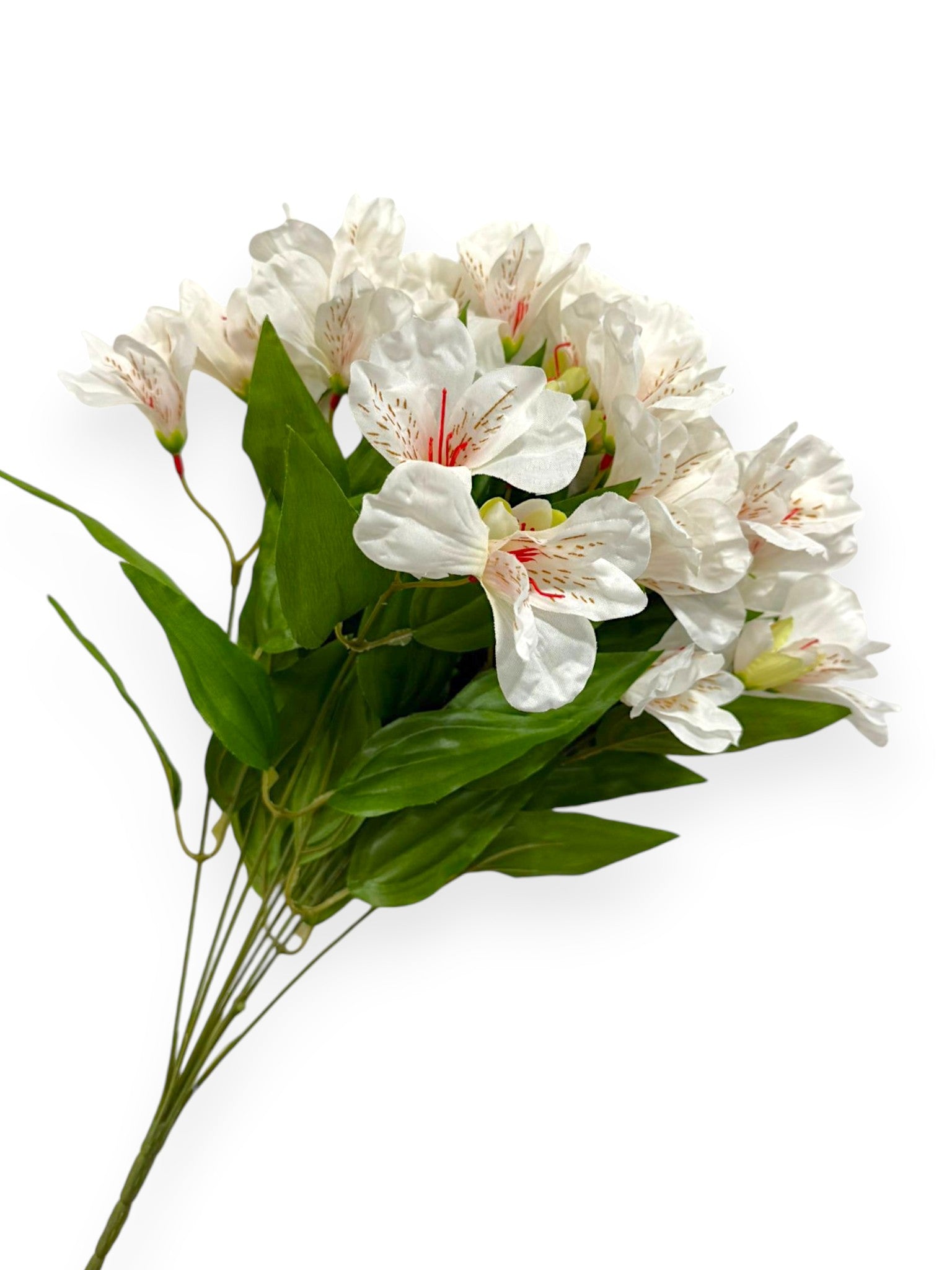 Alstroemeria Bush 19"