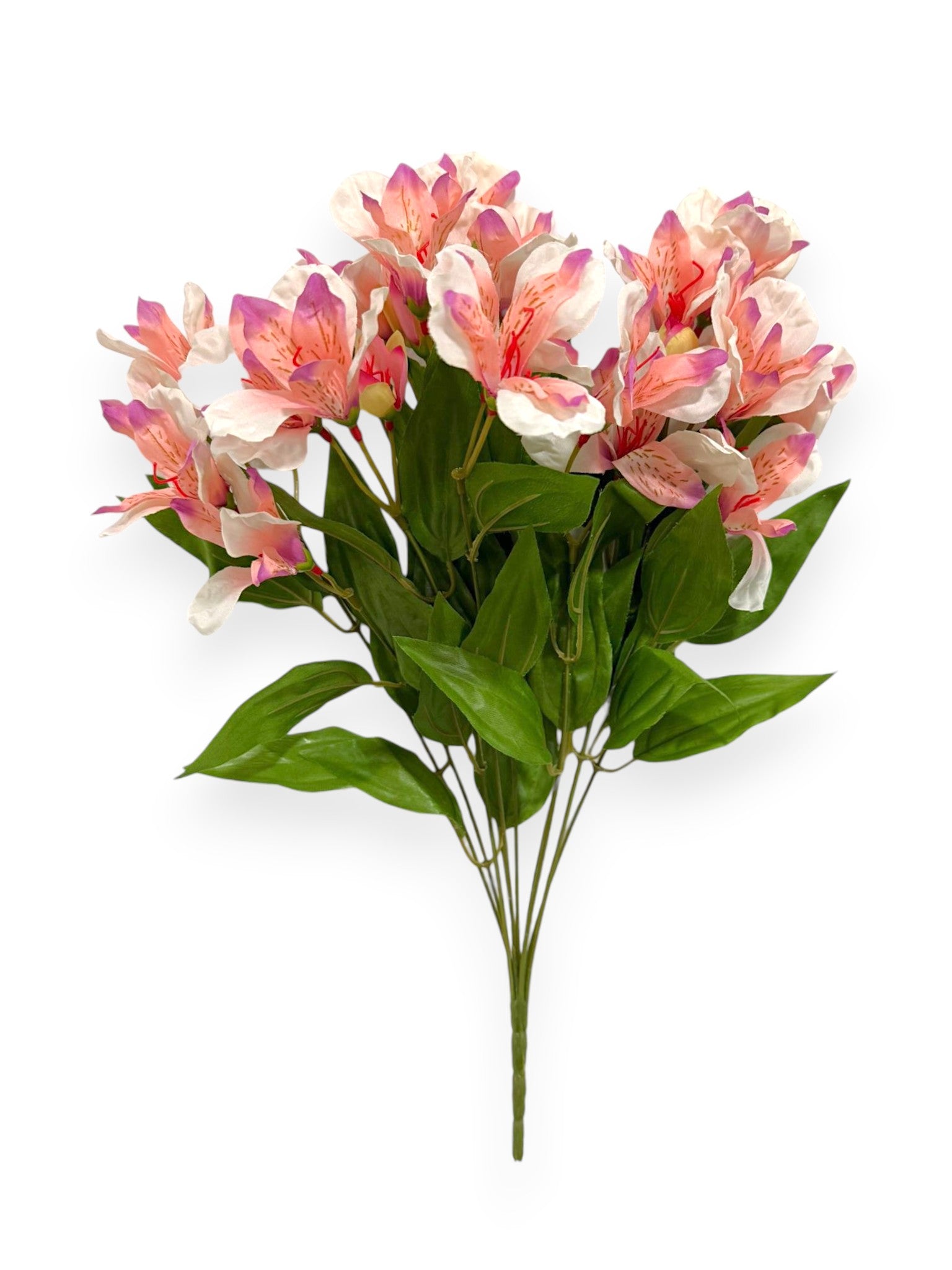 Alstroemeria Bush 19"
