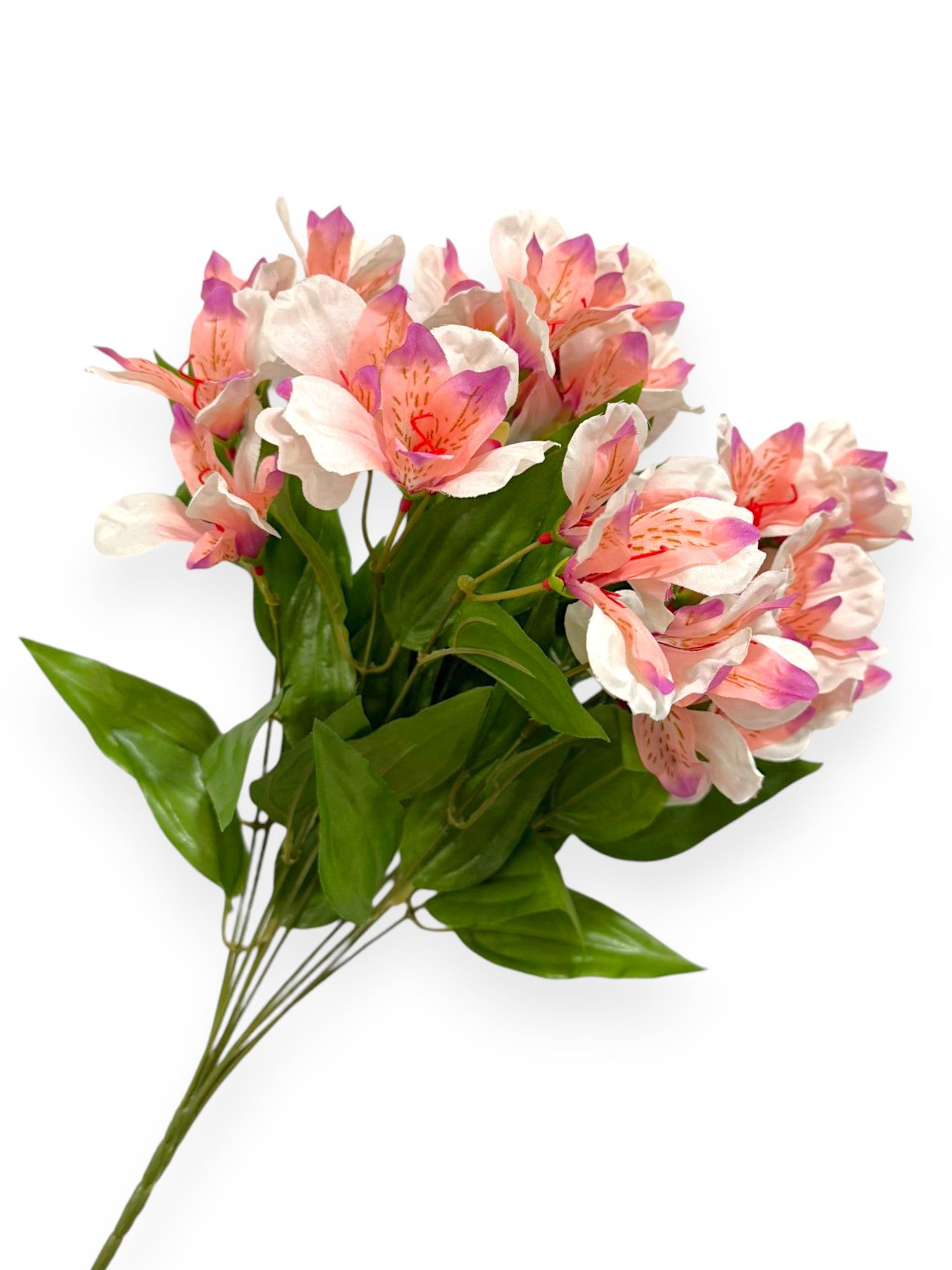 Alstroemeria Bush 19"