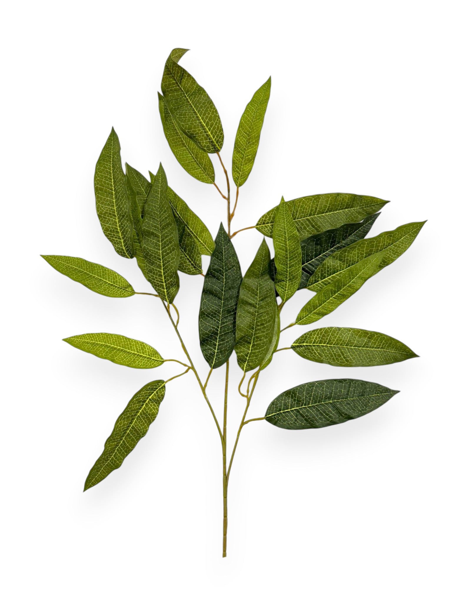 Mongo Leaf Spray 21"