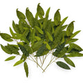 Mongo Leaf Spray 21"