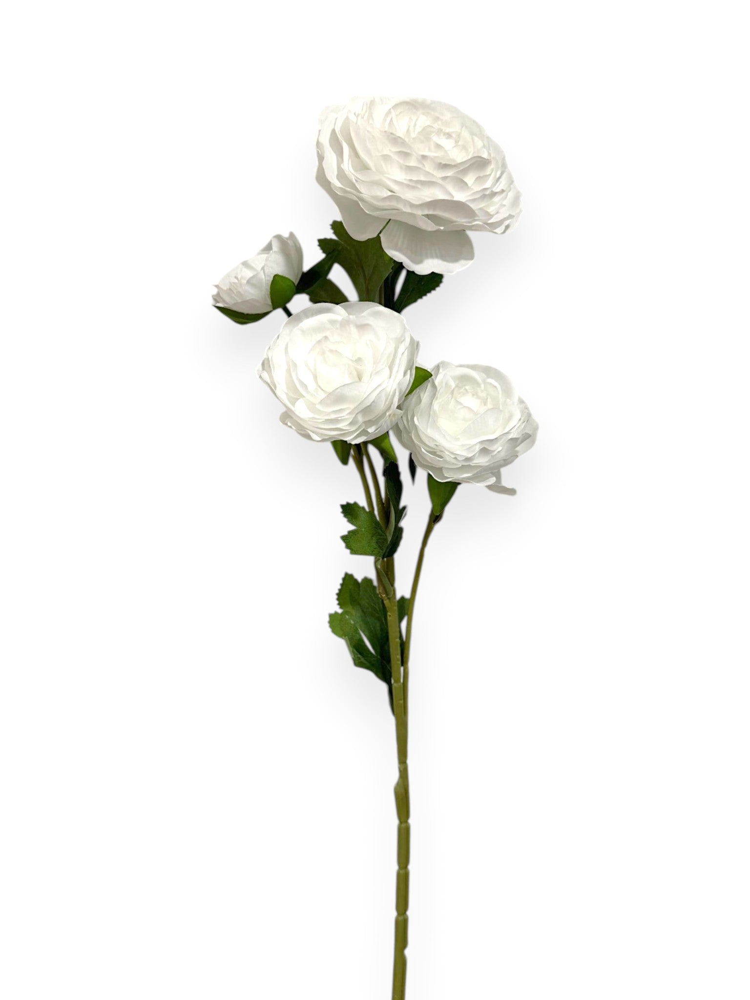 Camellia Spray X4 26"