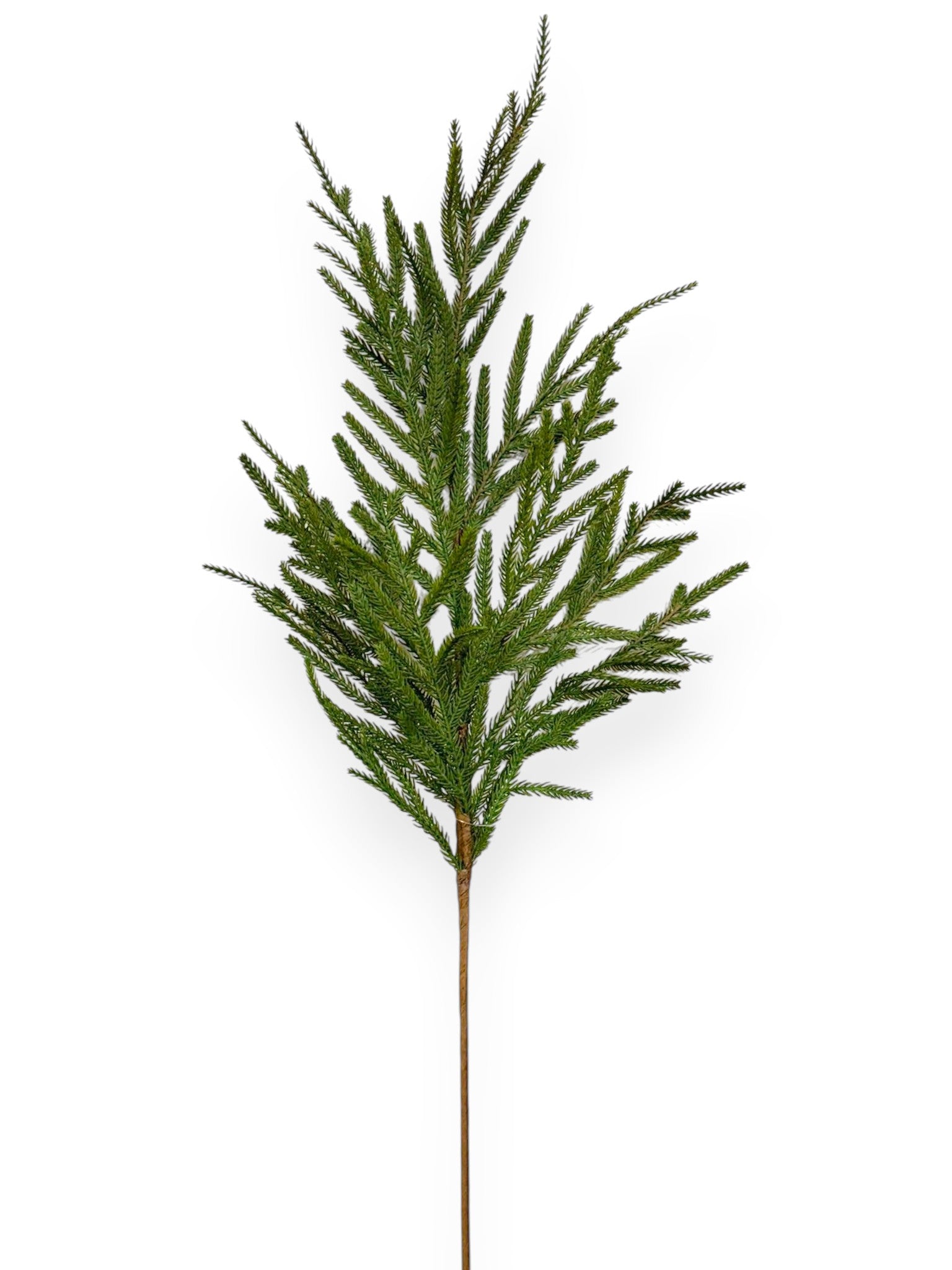 Soft Touch Mini Fir Spray 36"