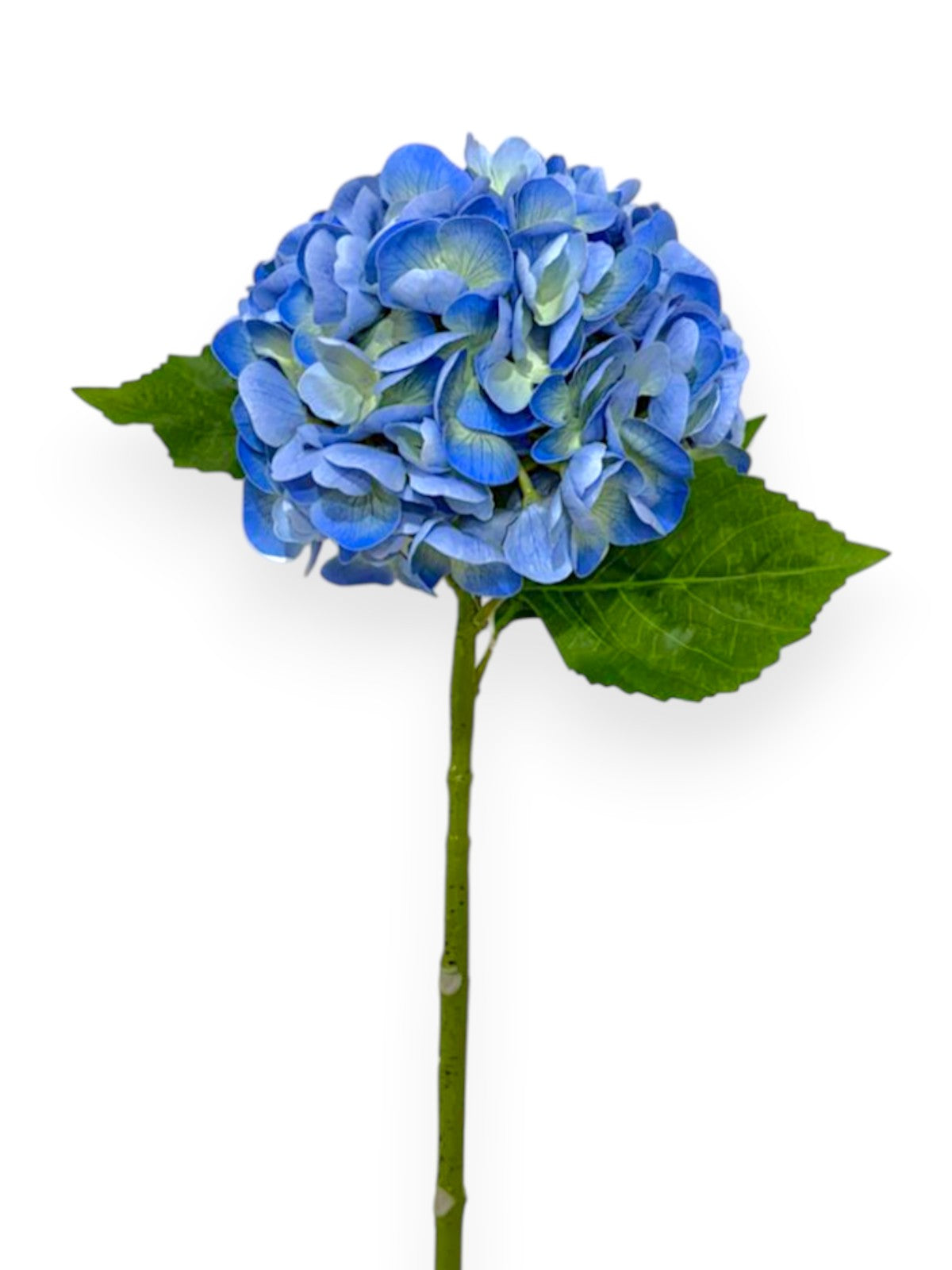 Natural Touch Hydrangea Stem 22"