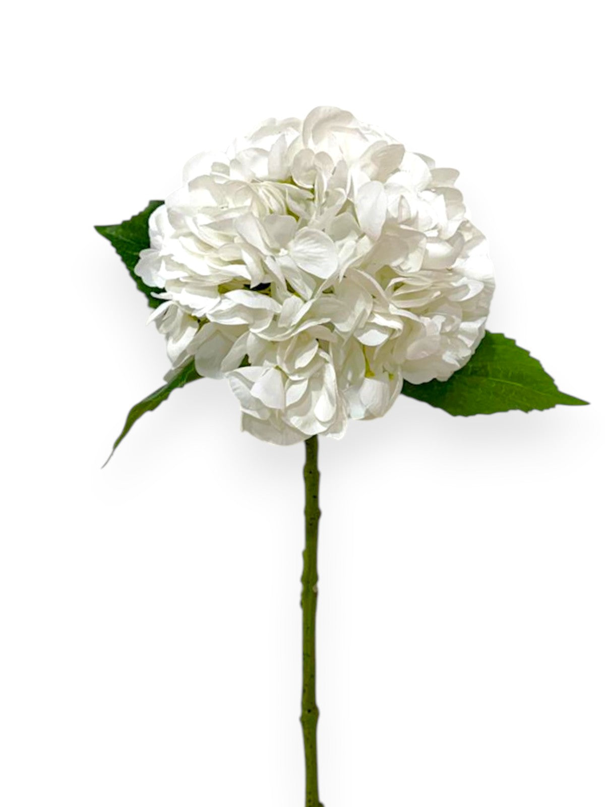 Natural Touch Hydrangea Stem 22"