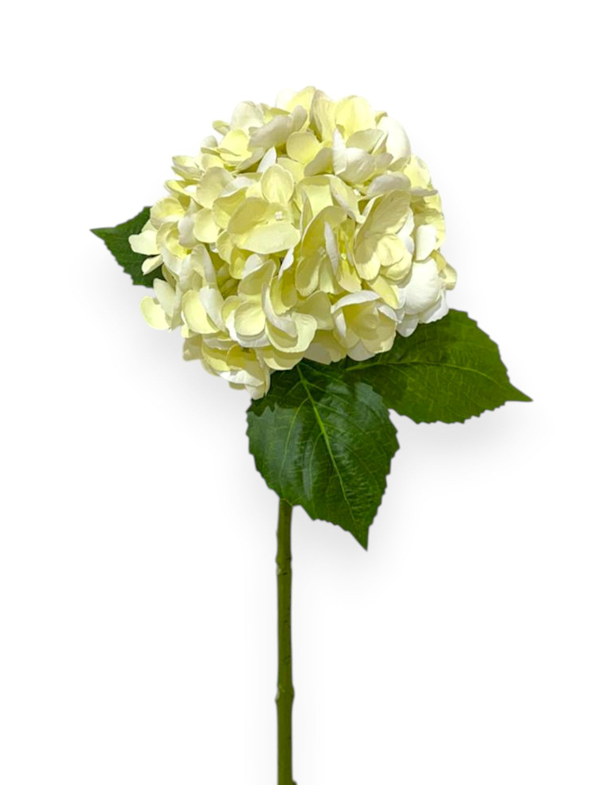 Natural Touch Hydrangea Stem 22"
