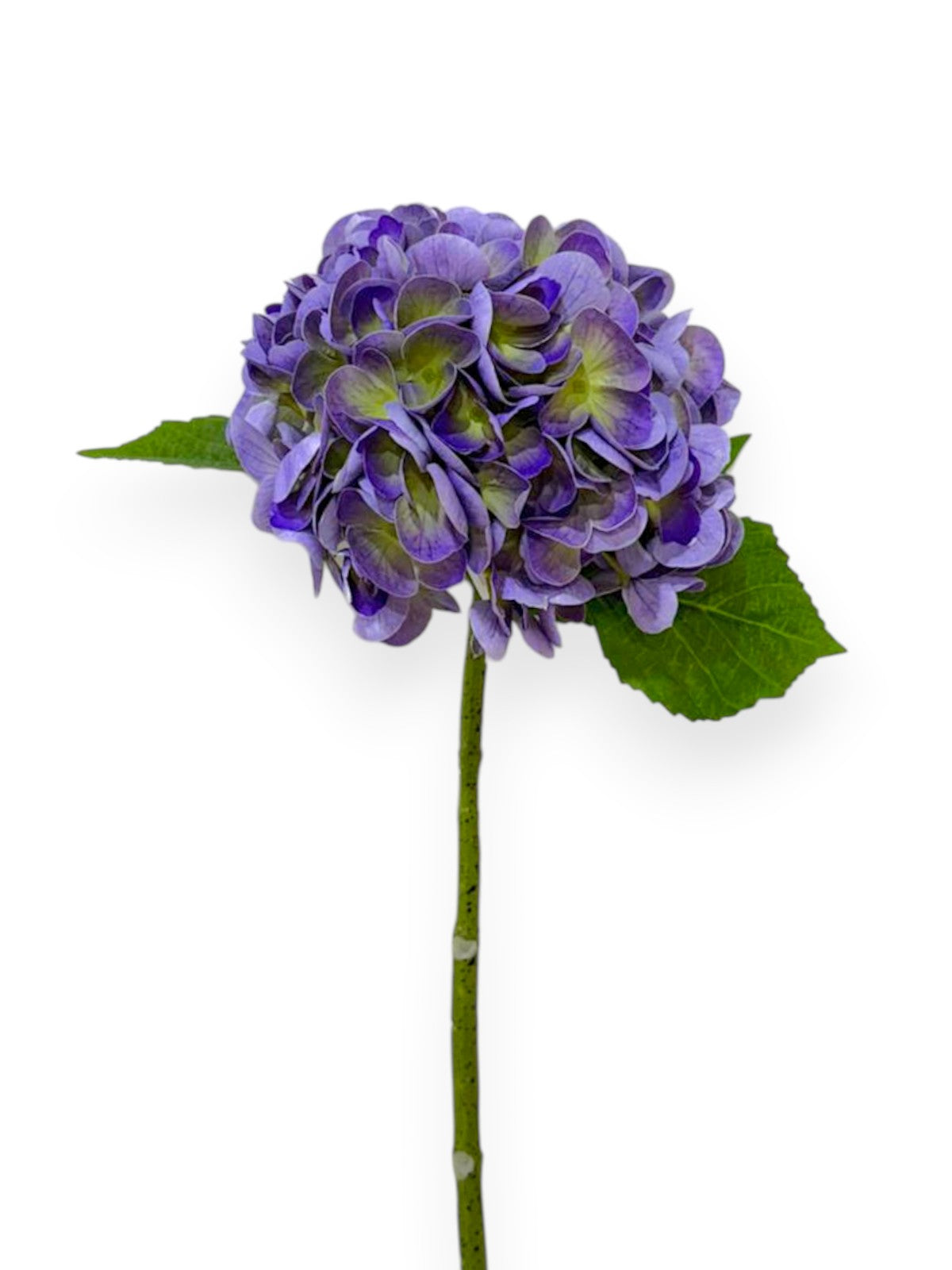 Natural Touch Hydrangea Stem 22"