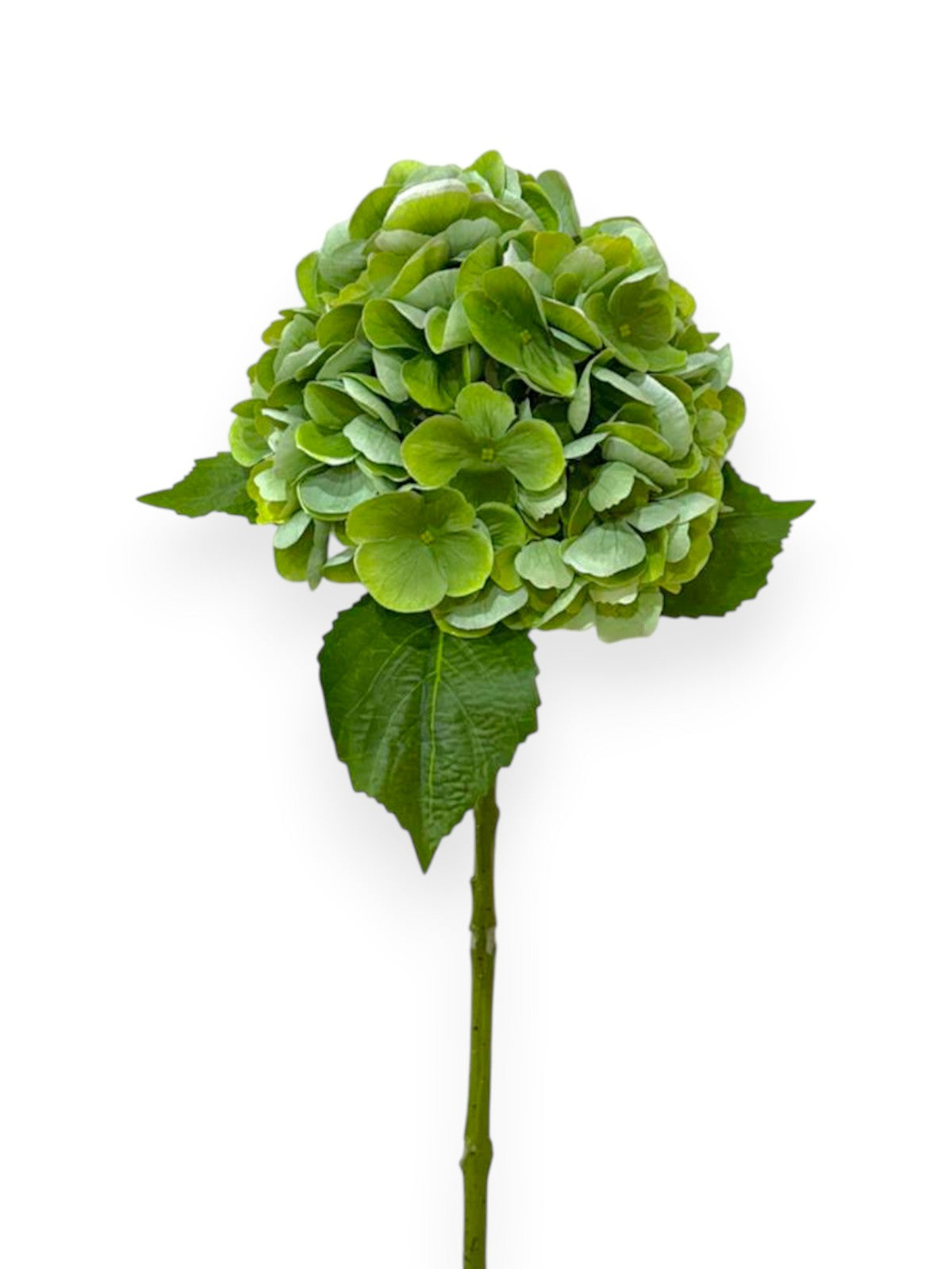 Natural Touch Hydrangea Stem 22"