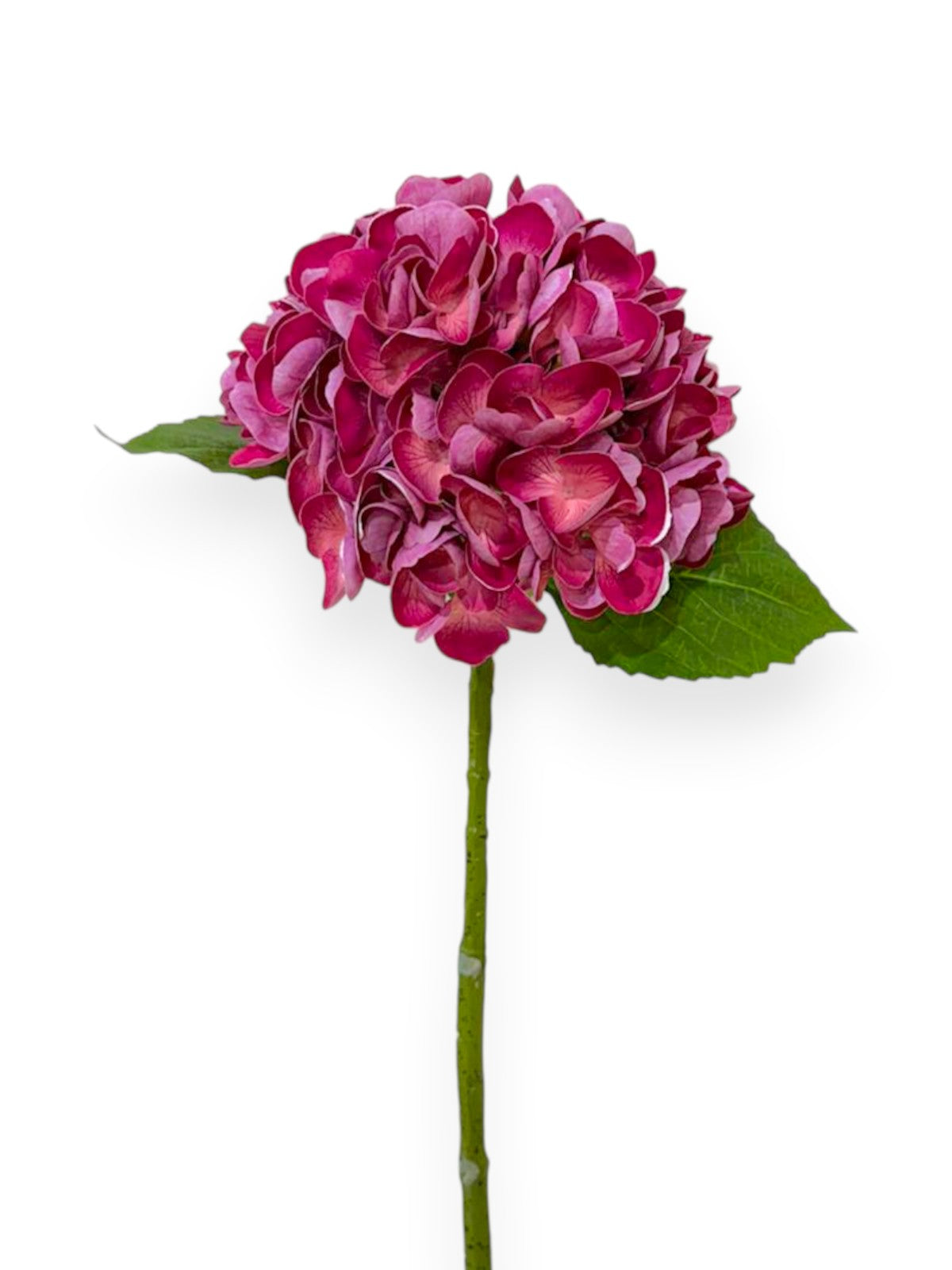 Natural Touch Hydrangea Stem 22"