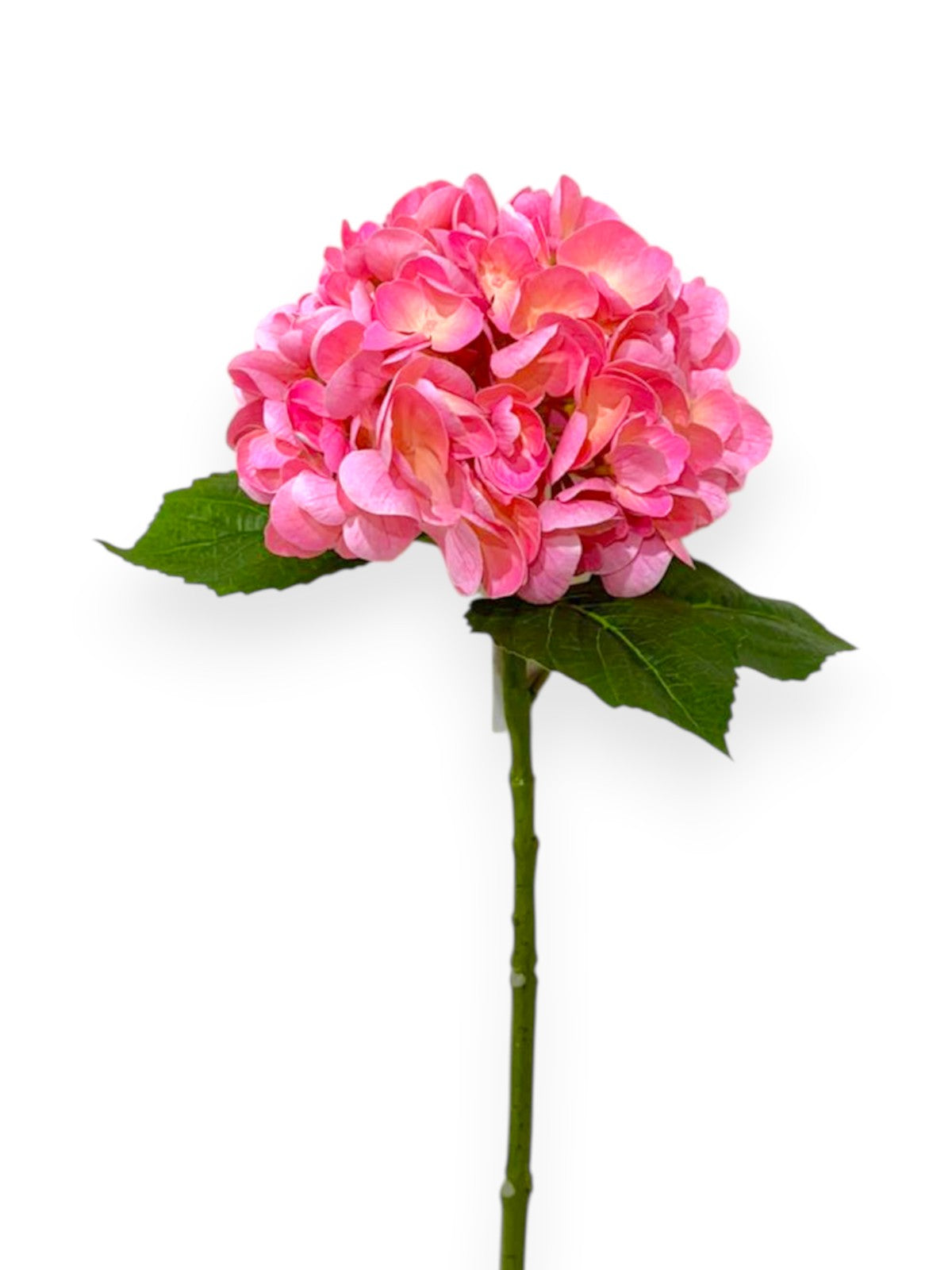 Natural Touch Hydrangea Stem 22"