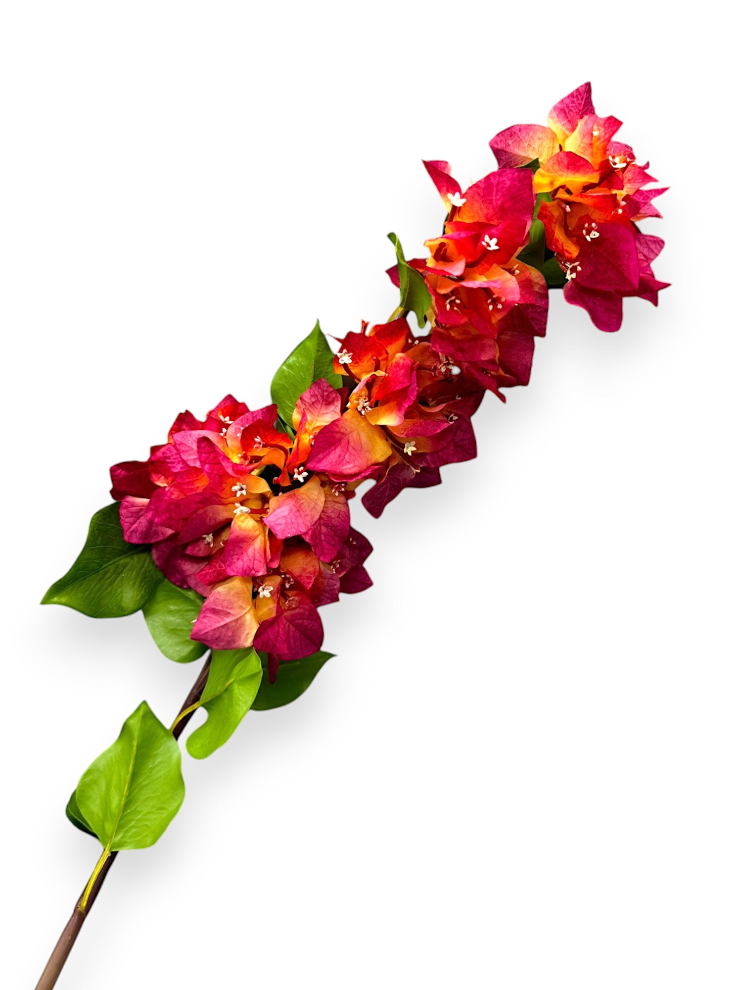 BOUNGAINVILLEA 38"
