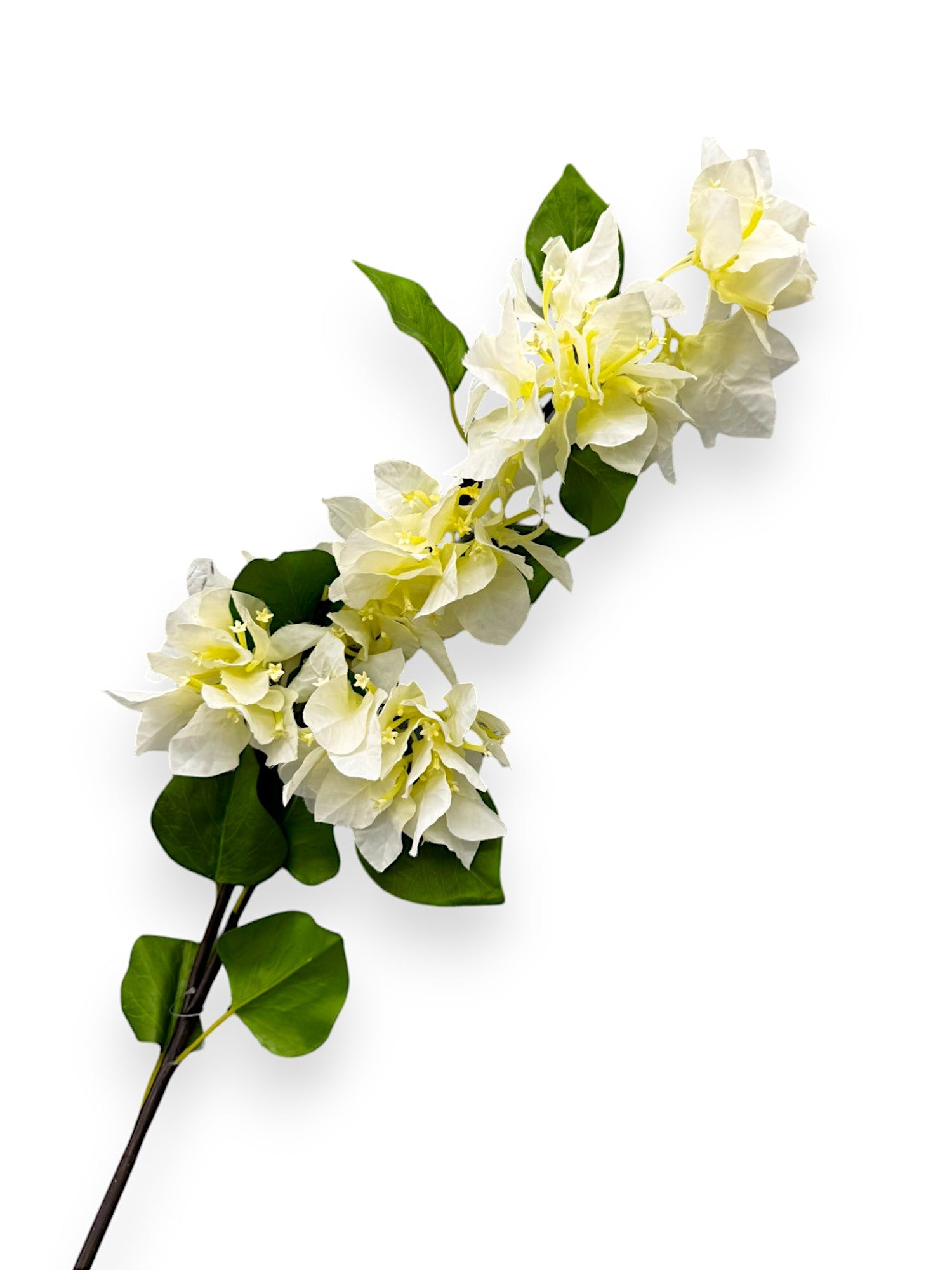 BOUNGAINVILLEA 38"