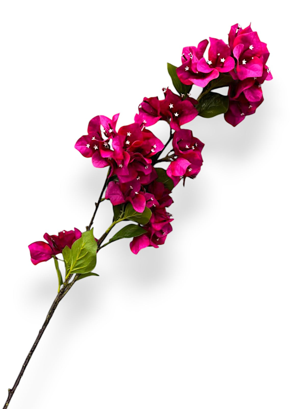 BOUNGAINVILLEA SPRAY 38"