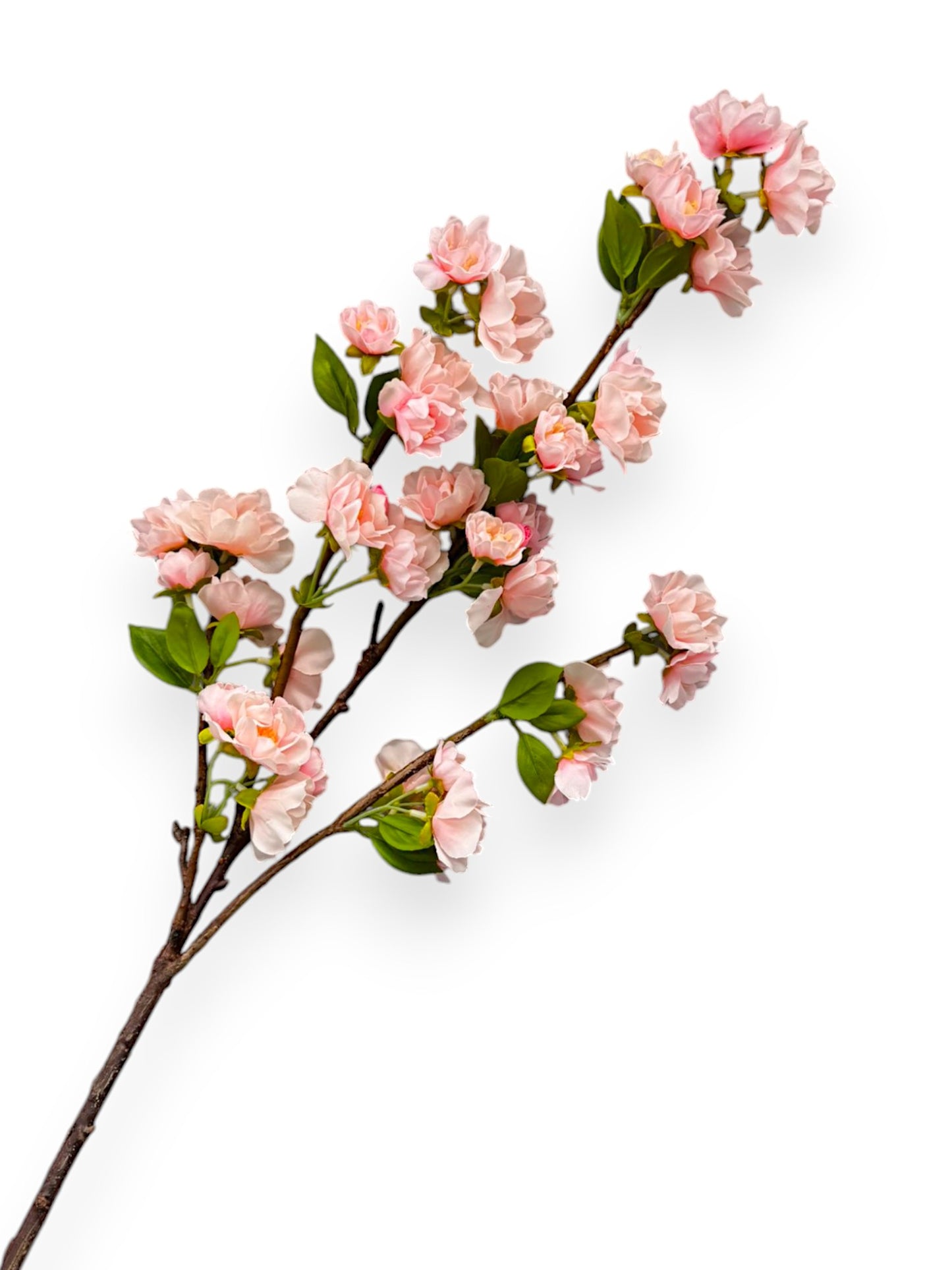 CHERRY BLOSSOM NAT.TOUCH