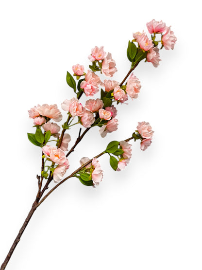 CHERRY BLOSSOM NAT.TOUCH