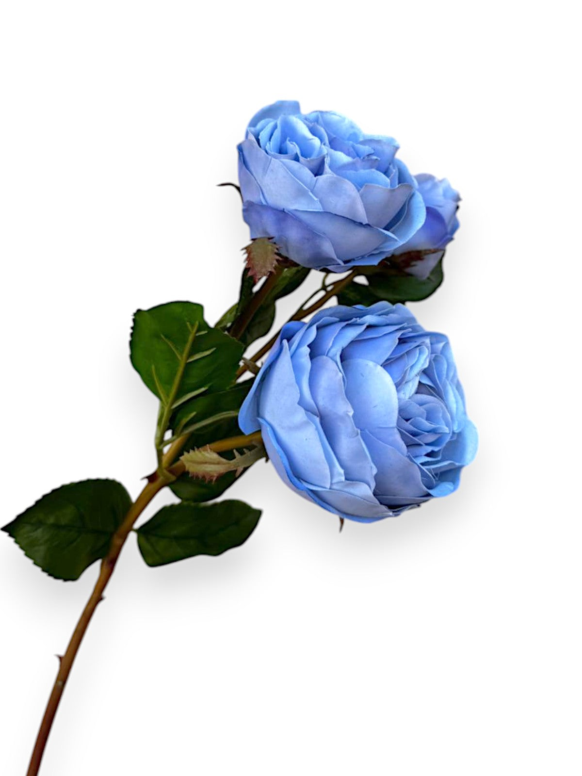 REAL TOUCH ROSEX2+BUD SPRAY 21"