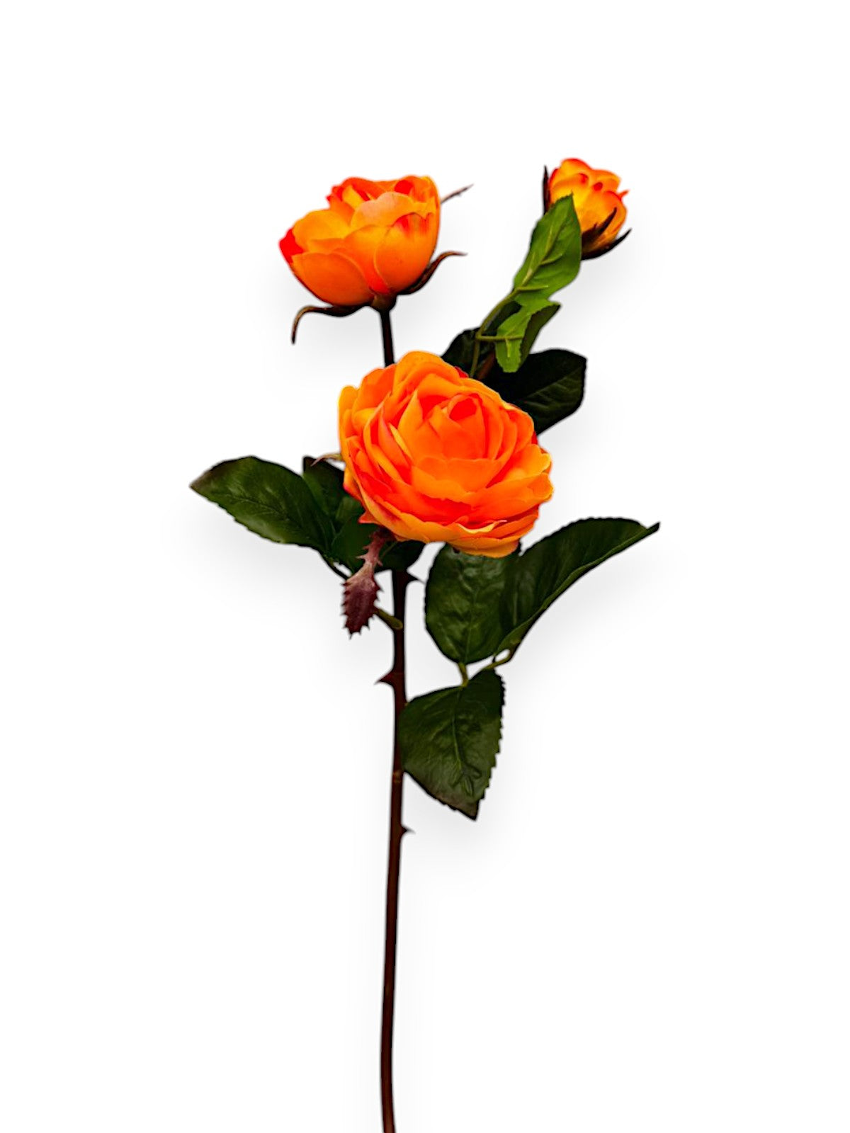 ROSE SPRX3 SMALL 20"