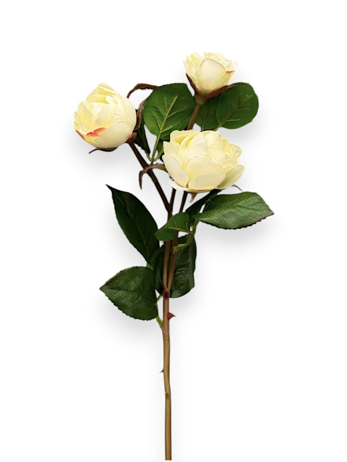 ROSE SPRX3 SMALL 20"