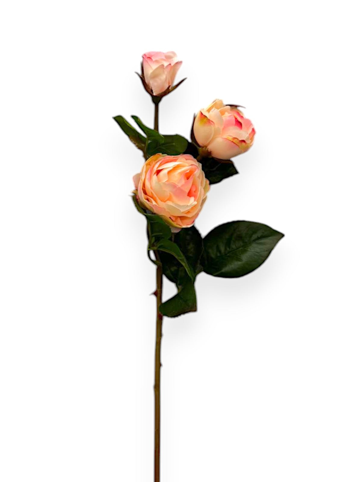 ROSE SPRX3 SMALL 20"