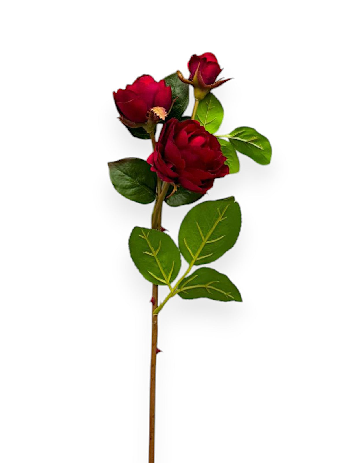 ROSE SPRX3 SMALL 20"