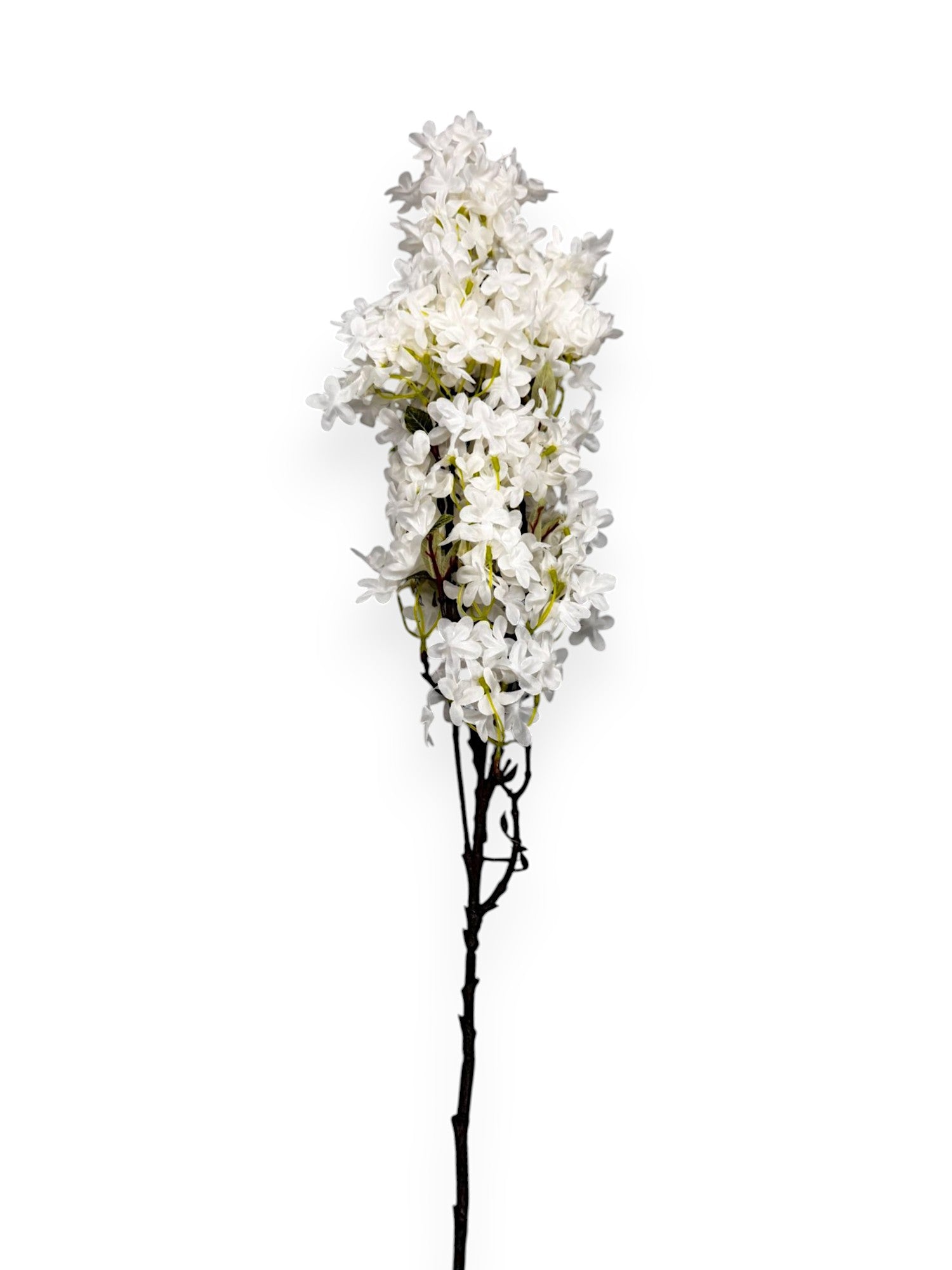 CHERRY BLOSSOM 35"