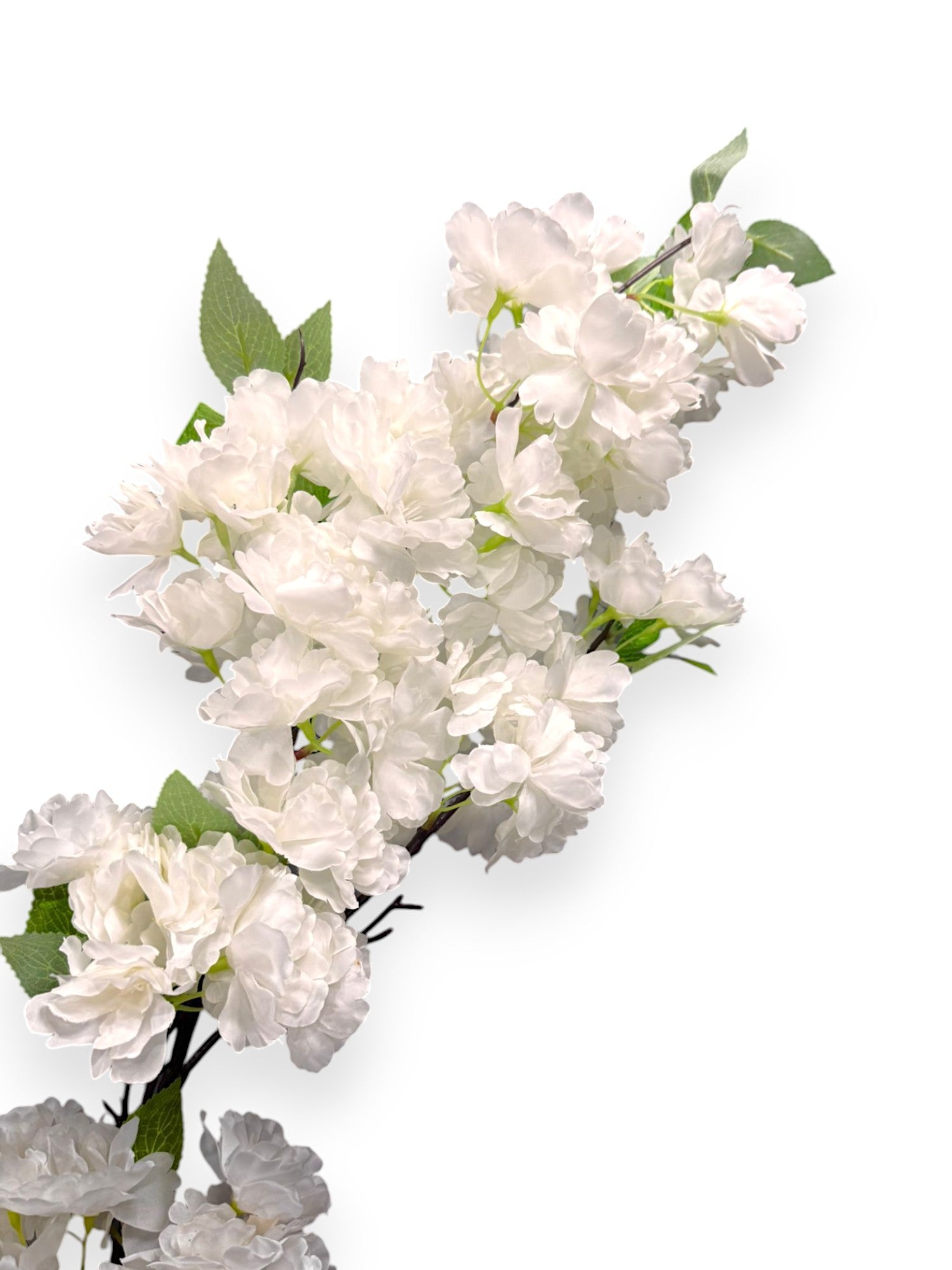 CHERRY BLOSSOM BRANCH 45"