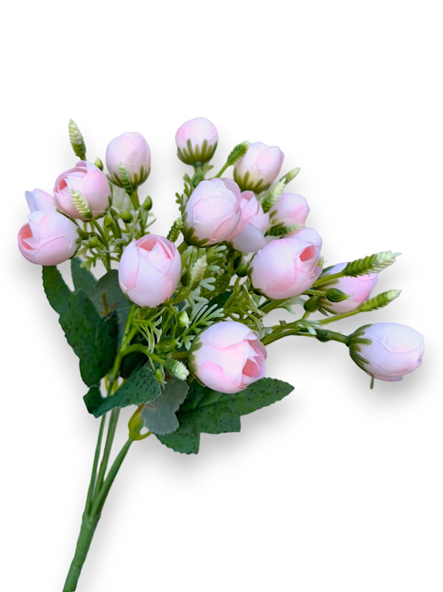 ROSE MINI BUSH X15