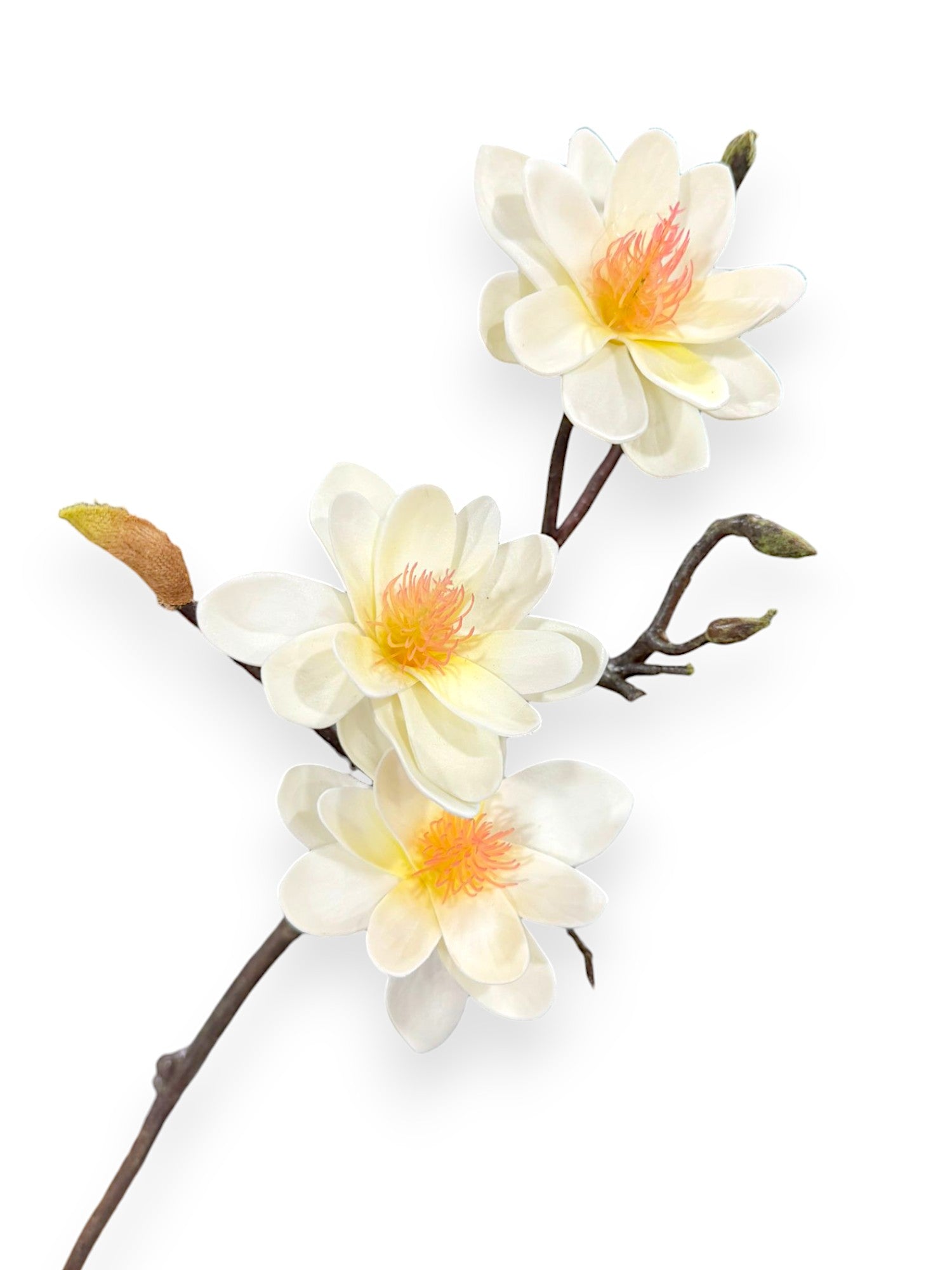 Star Flower Magnolia Stem 25"