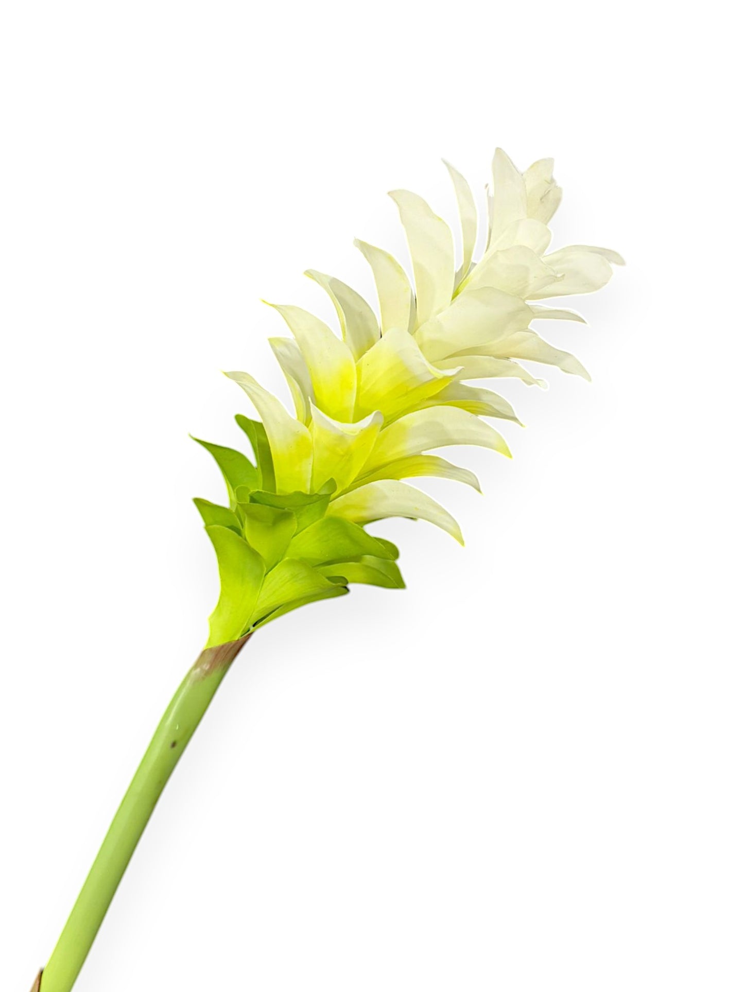GINGER FLOWERS 34"