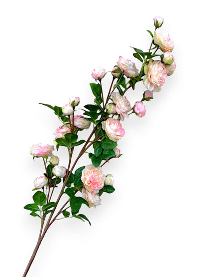 ROSE CLUSTER 48"