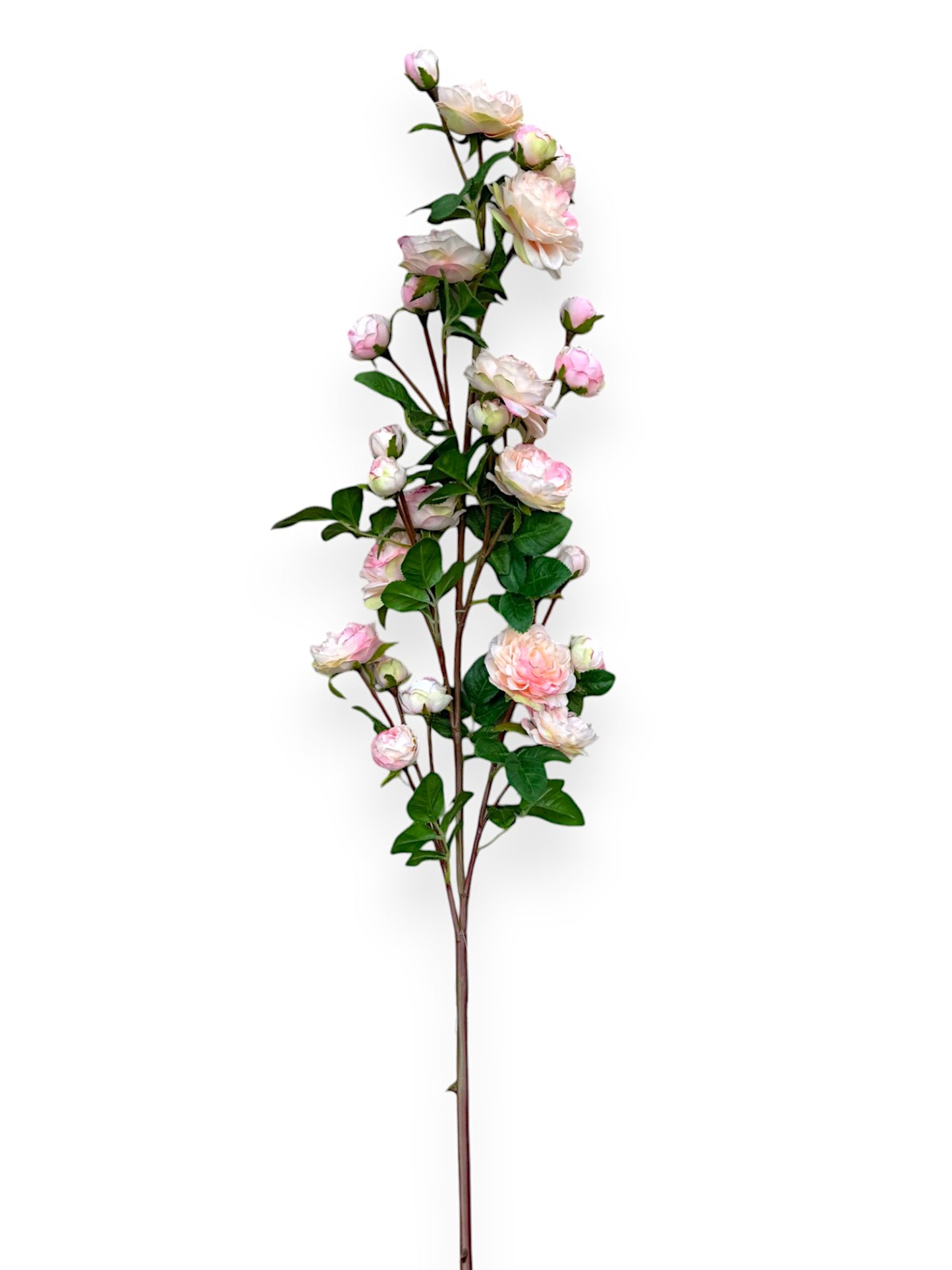 ROSE CLUSTER 48"