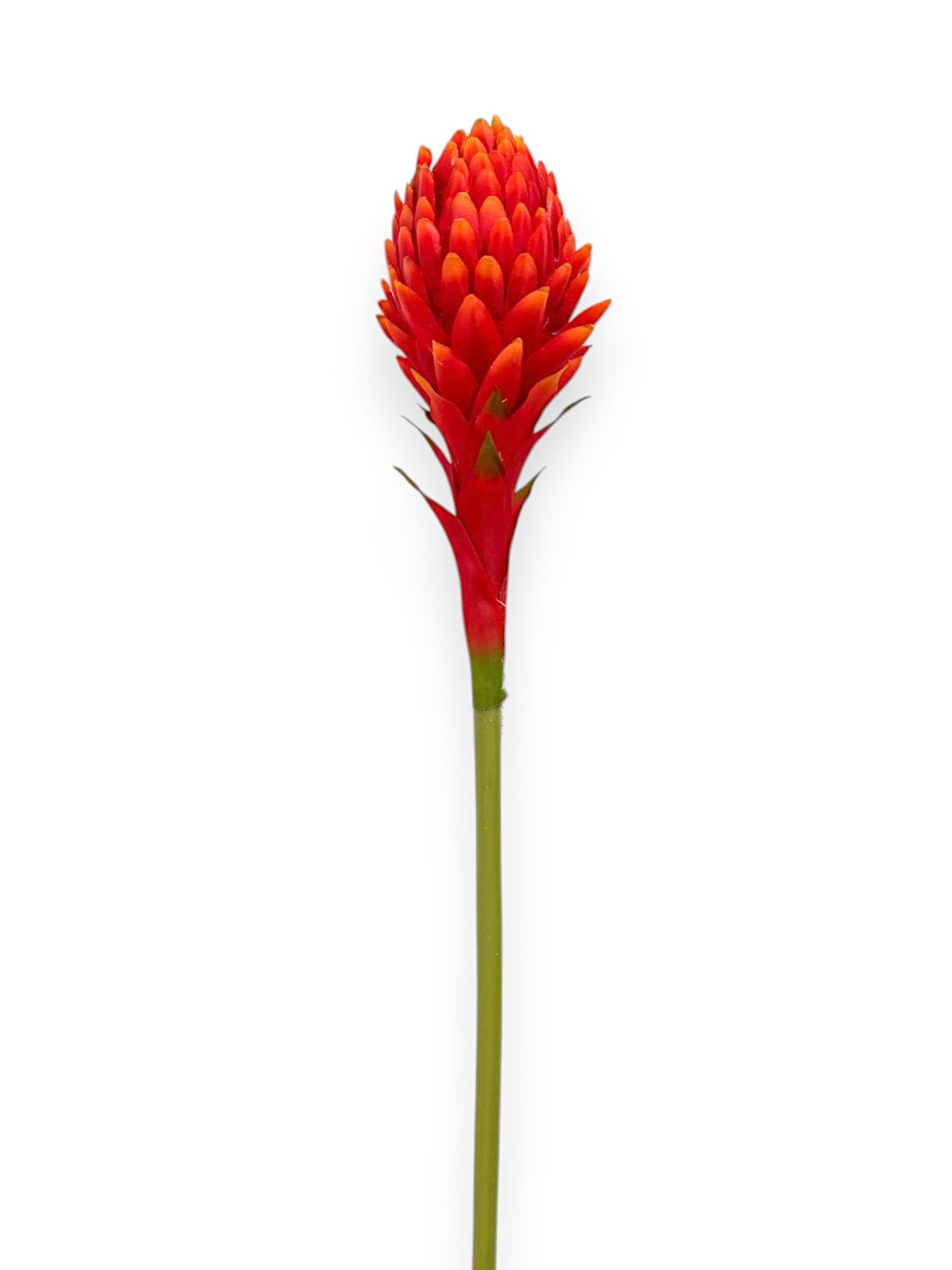 TORCH FLOWER 22"