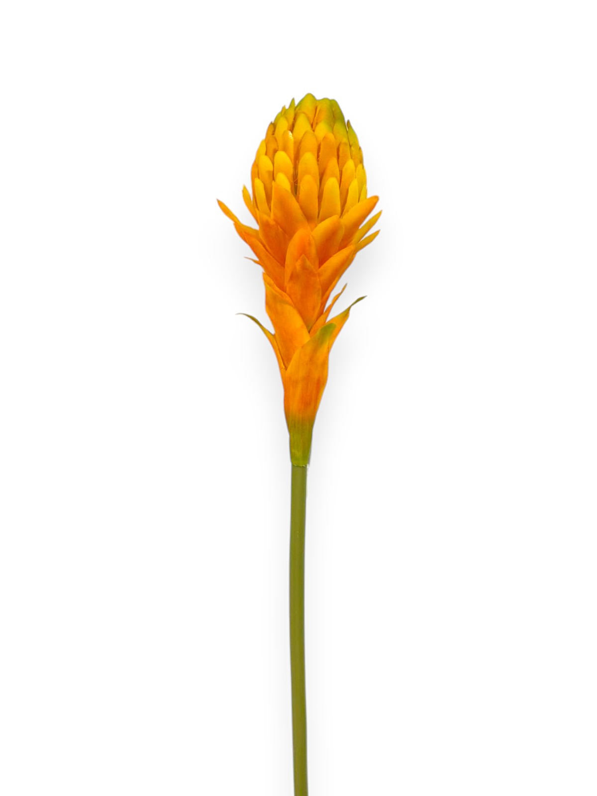TORCH FLOWER 22"