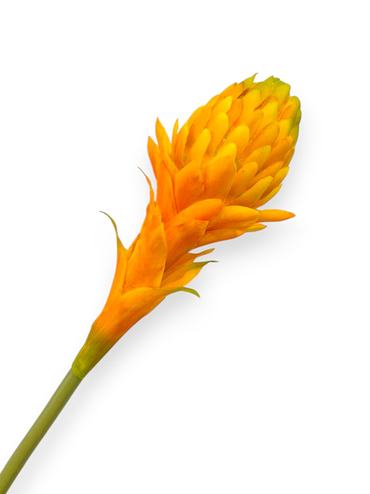 TORCH FLOWER 22"