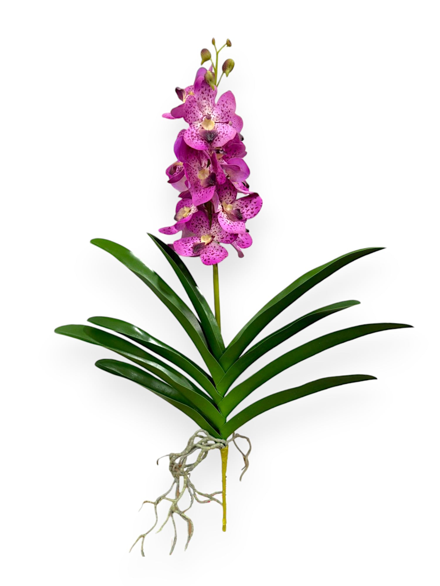 NAT. TOUCH. VANDA ORCHID 25"