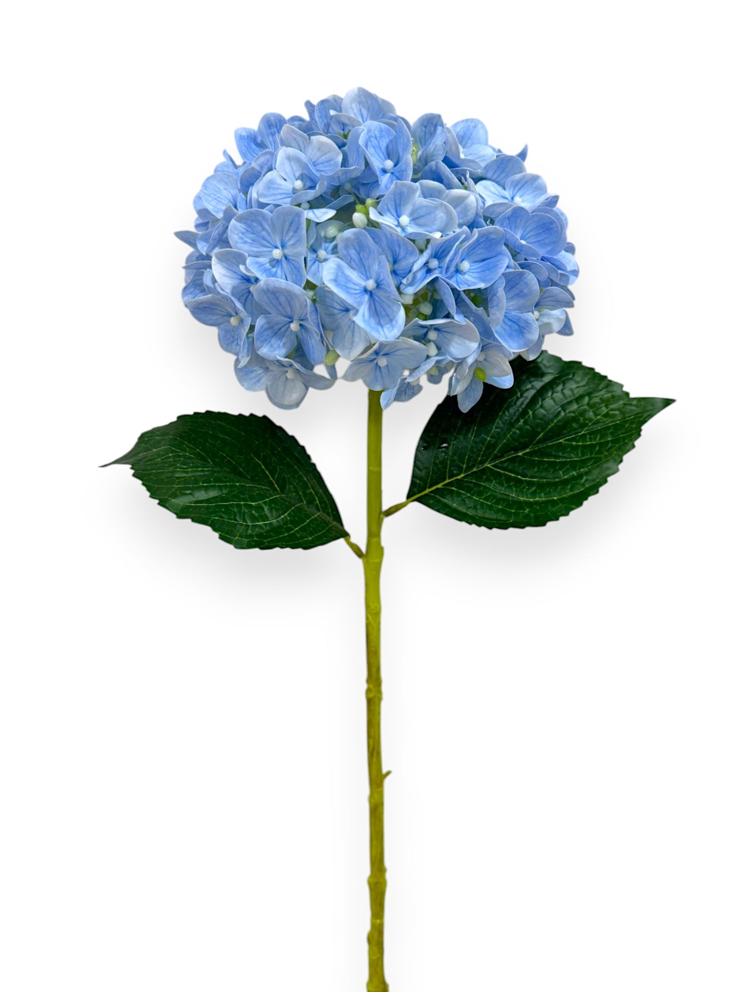 HYDRANGEA SPRAYX1 19" NAT.TOUCH