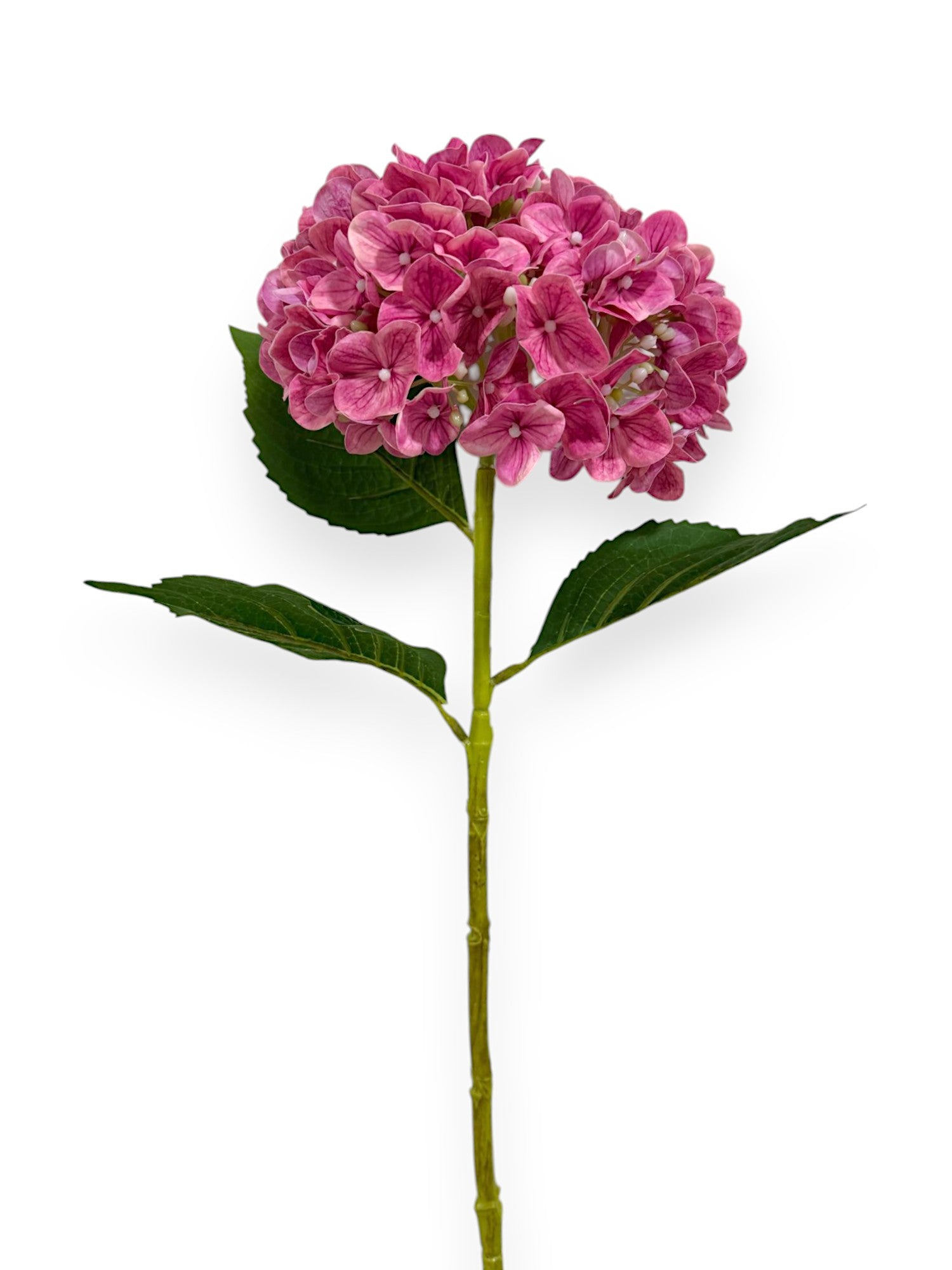 HYDRANGEA SPRAYX1 19" NAT.TOUCH