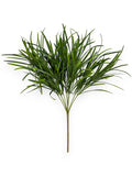 HANGING GRASS 2PCS
