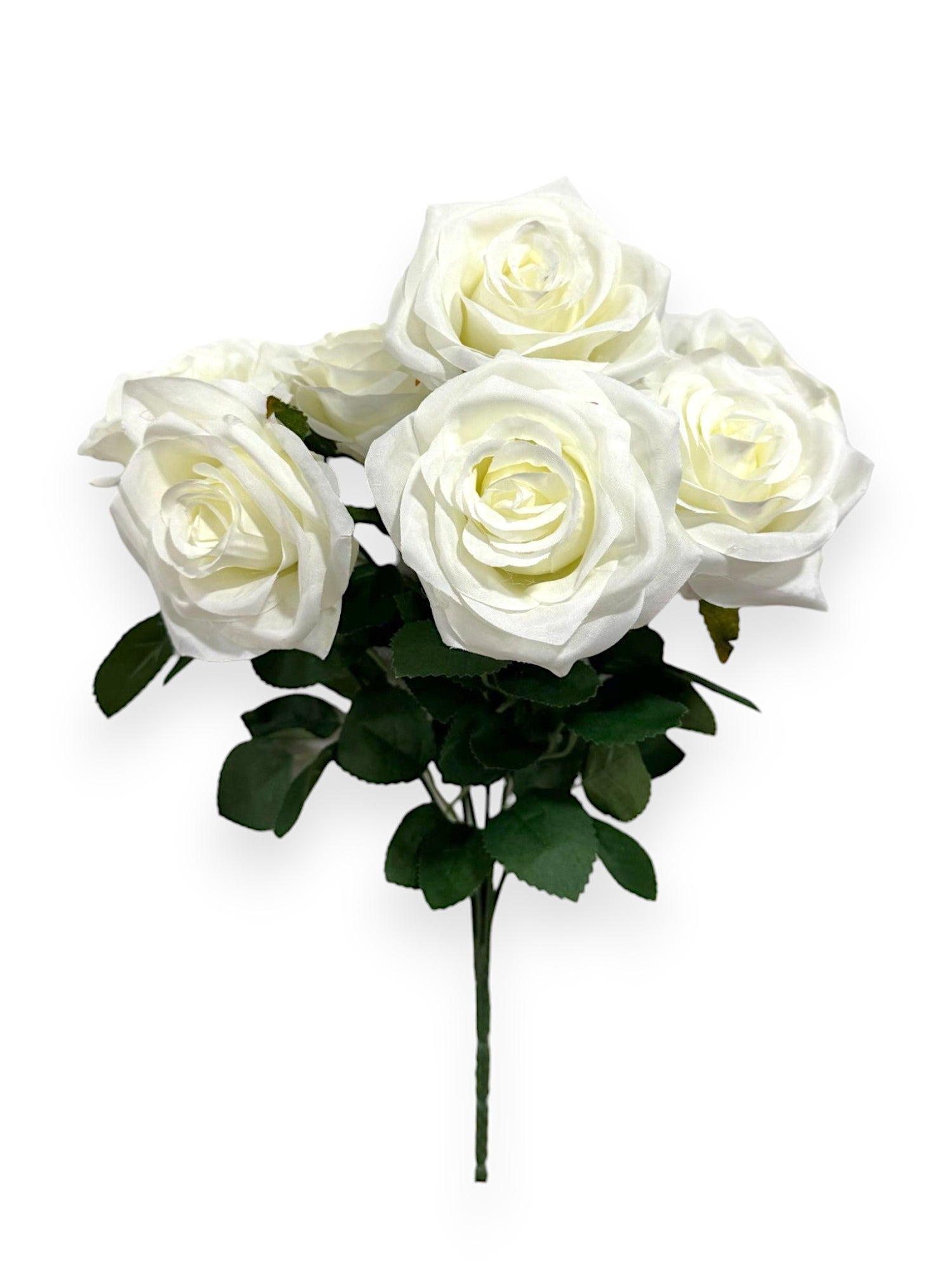 ROSE BUSH X7