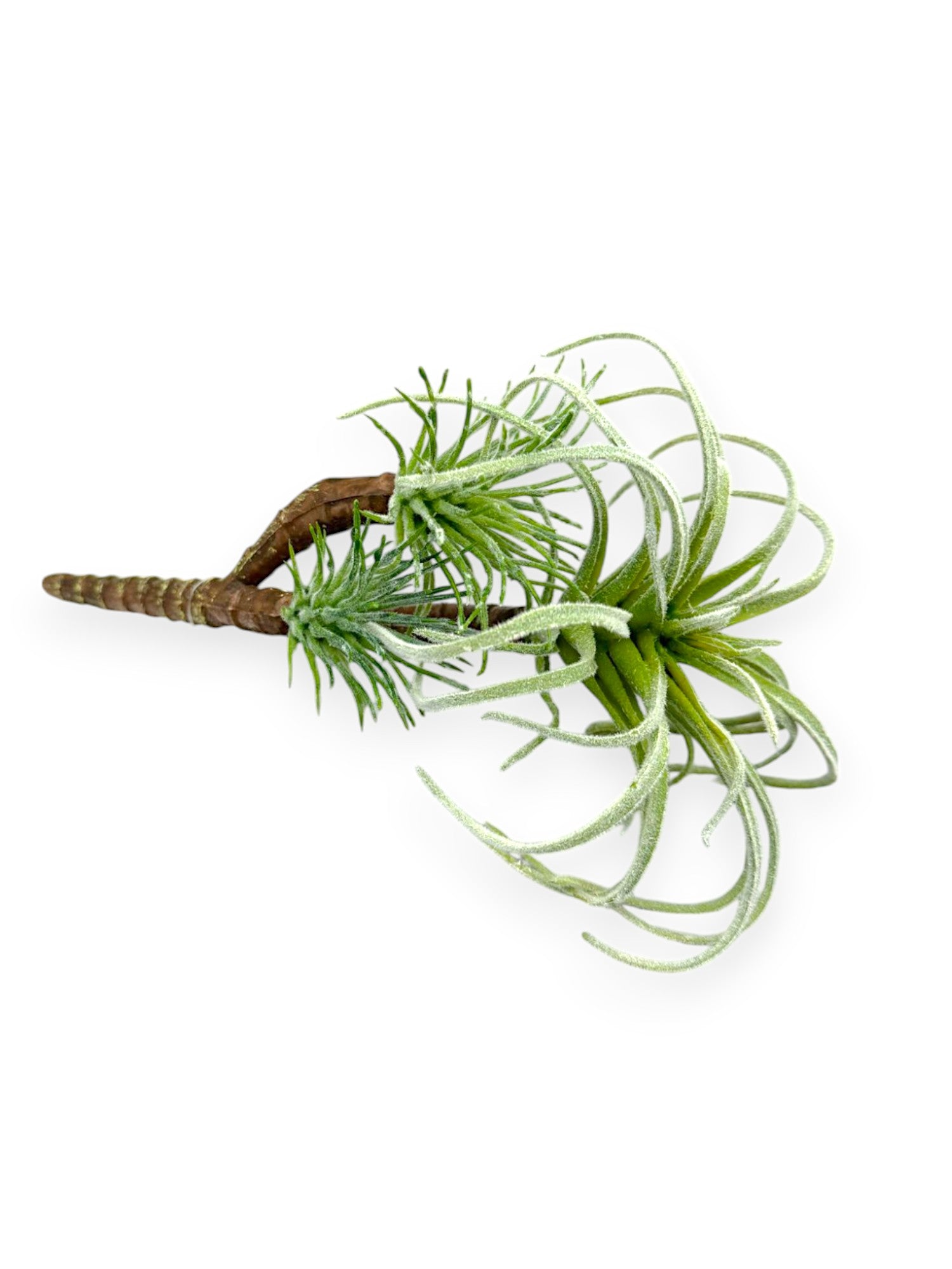 SUCCULENT PICKX3 8.5"